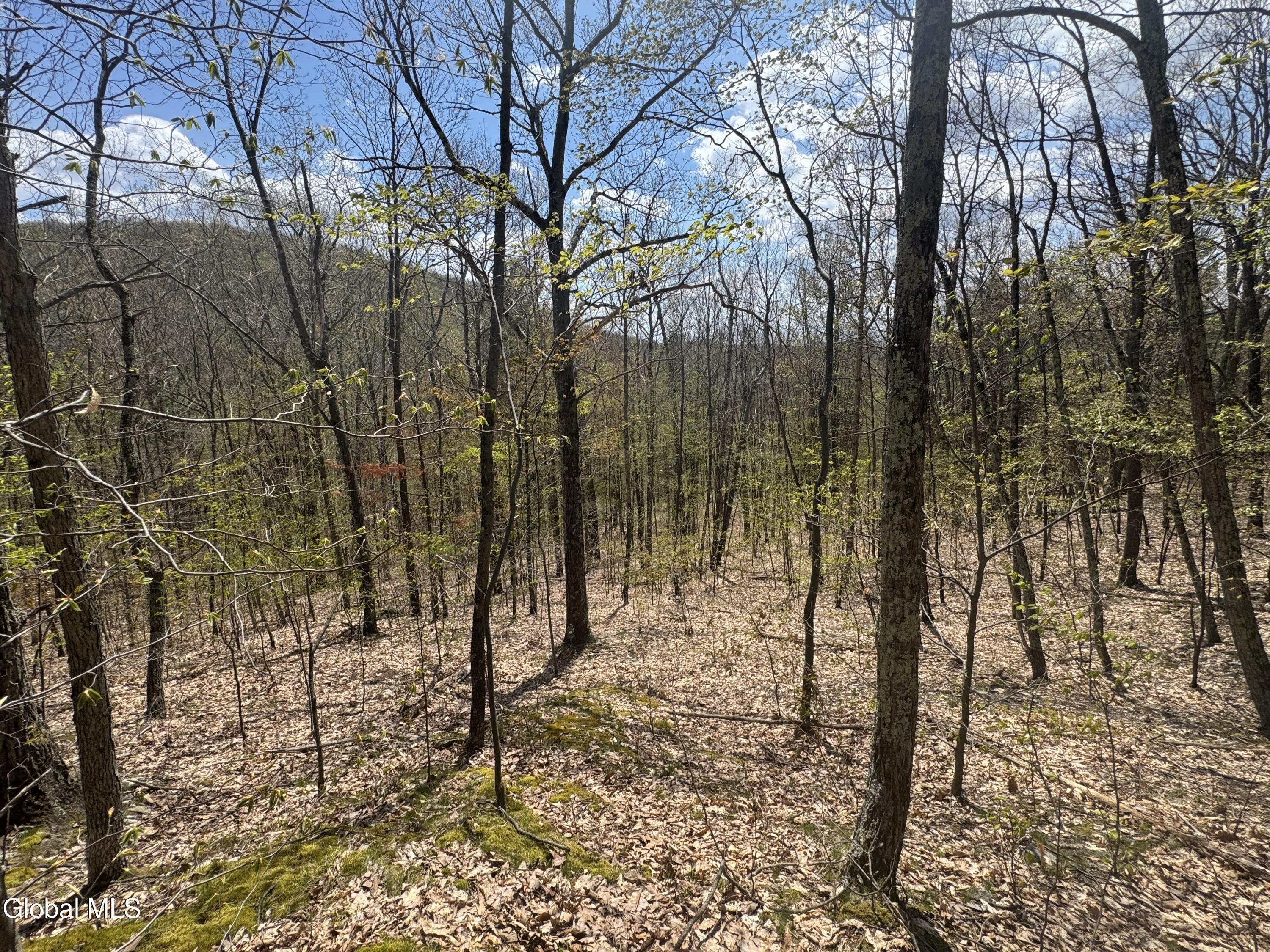 L25 Bromley Lane Granville NY 12832
