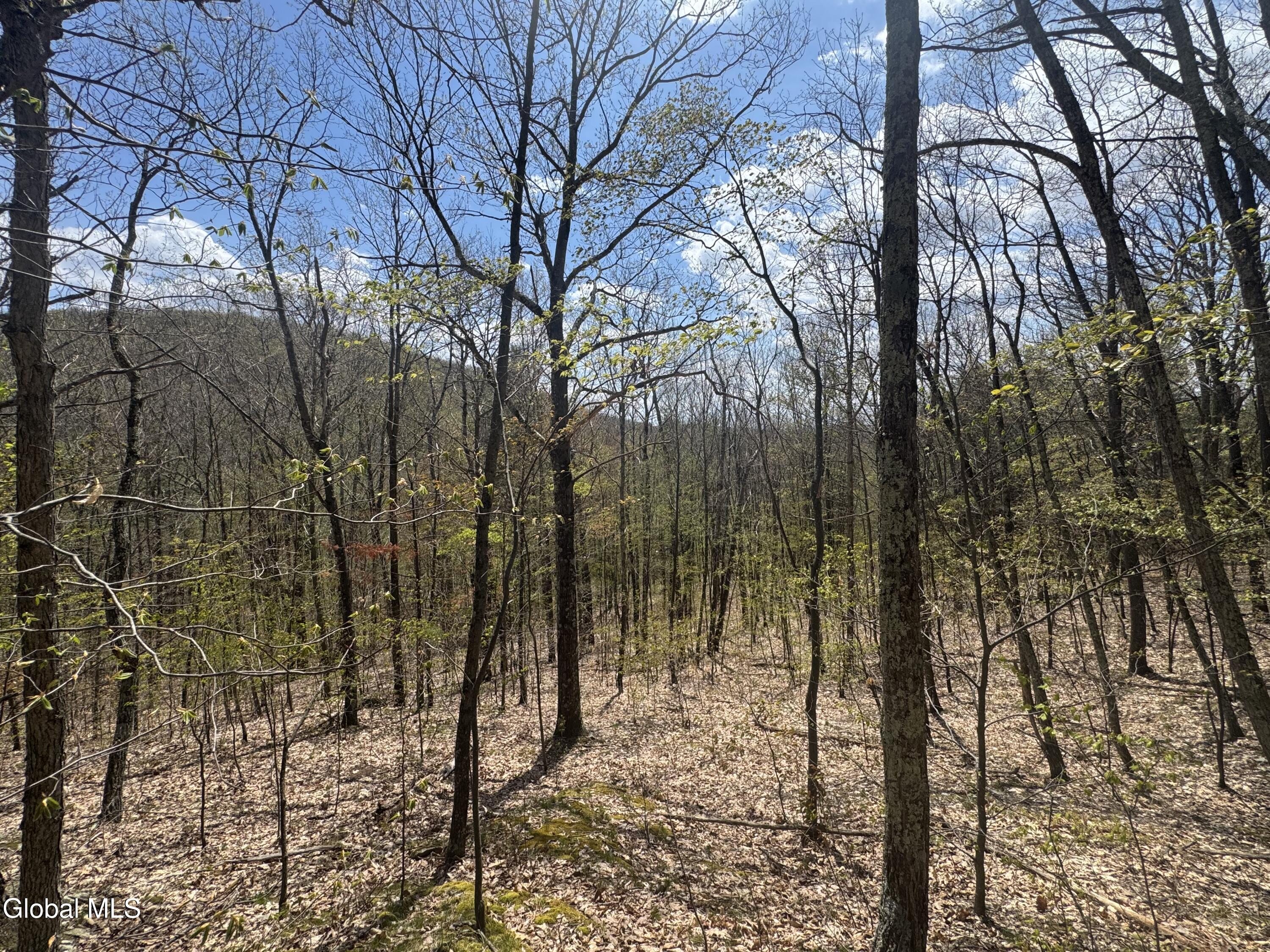 L25 Bromley Lane Granville NY 12832