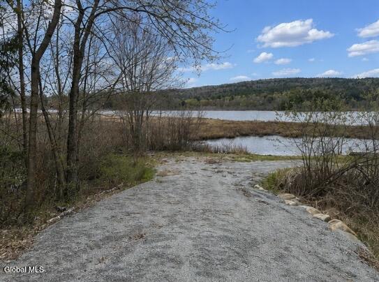 L10 Palisades Road Brant Lake NY 12815