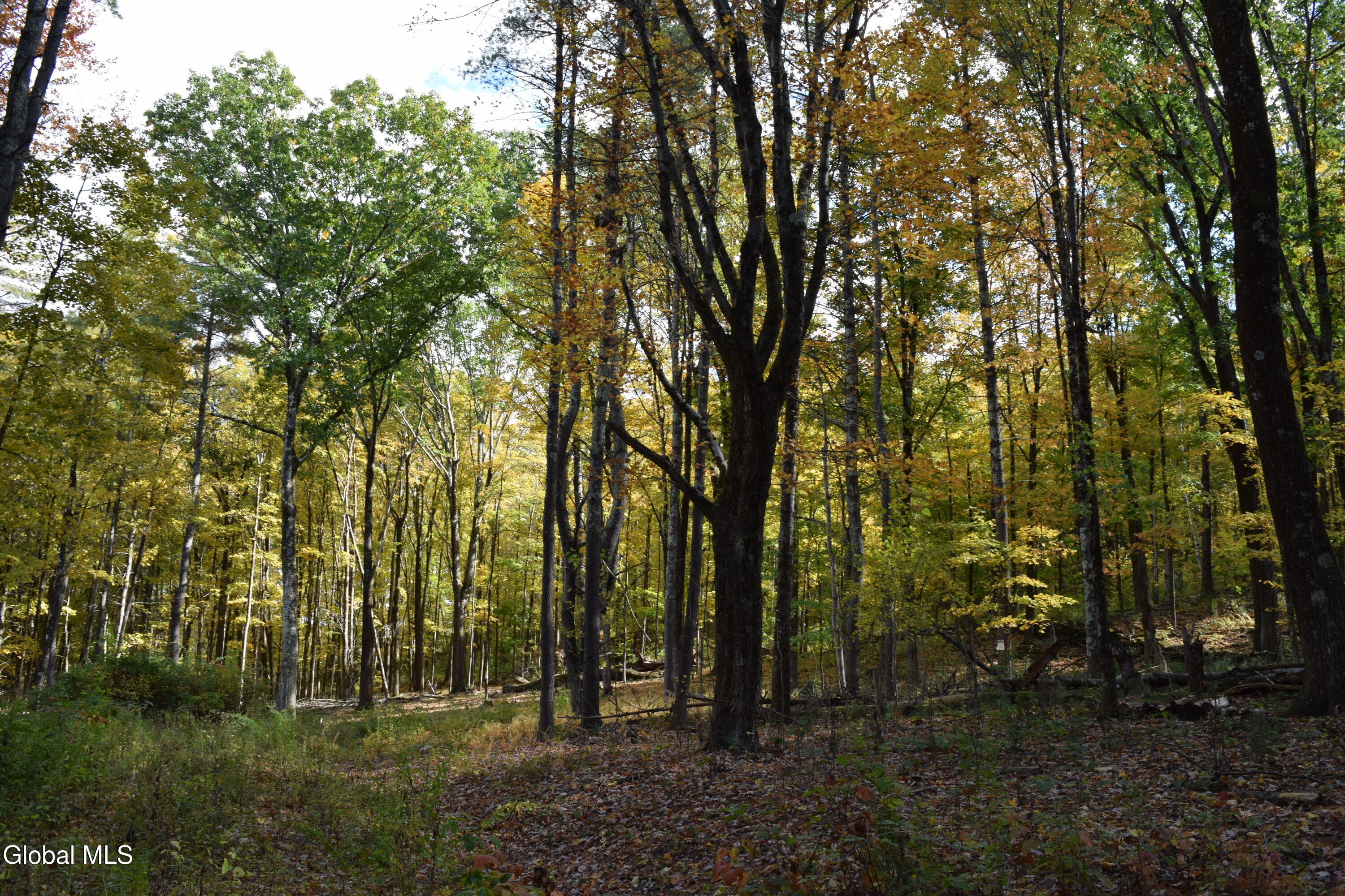 294 Beck Road Eagle Bridge NY 12057