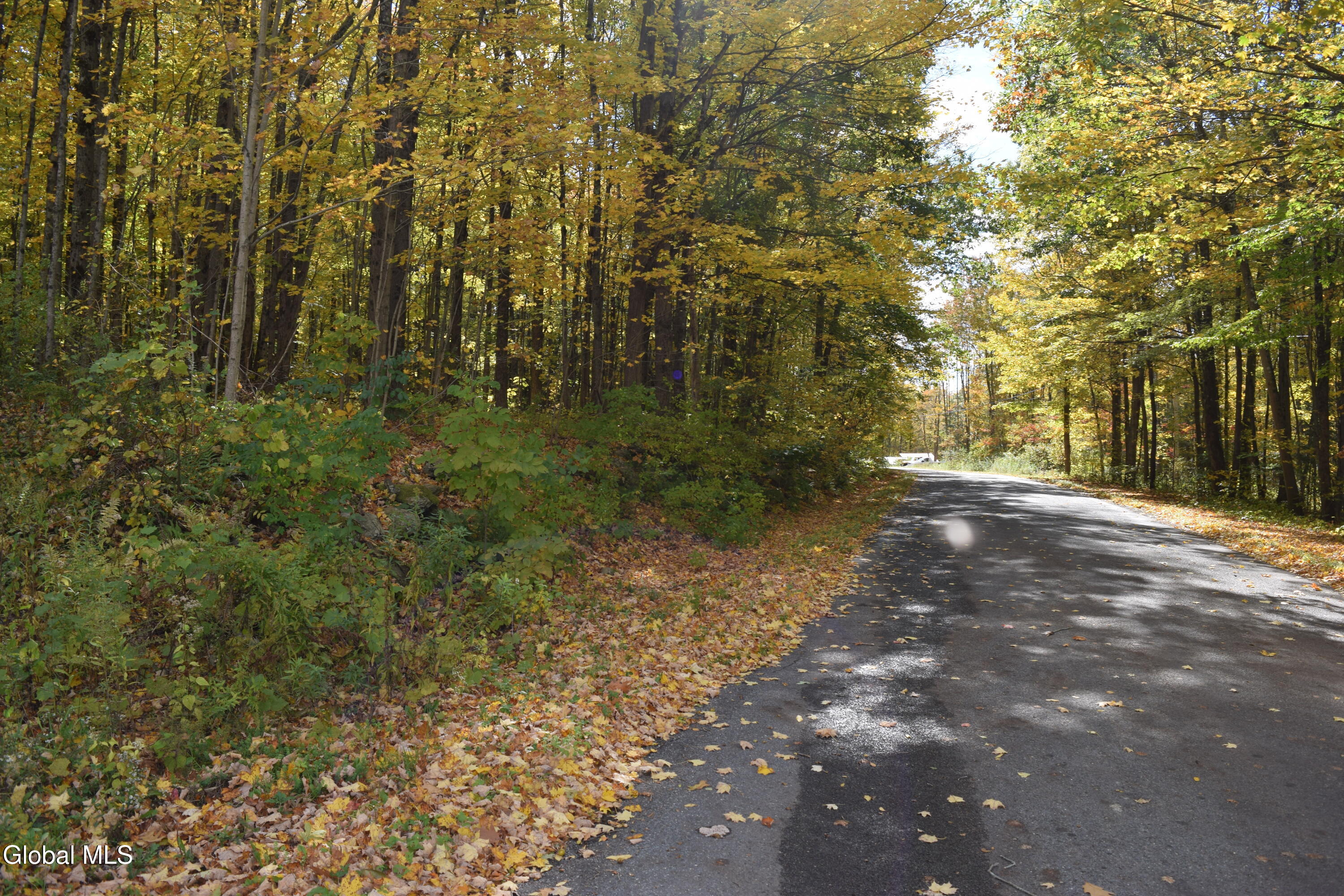 294 Beck Road Eagle Bridge NY 12057