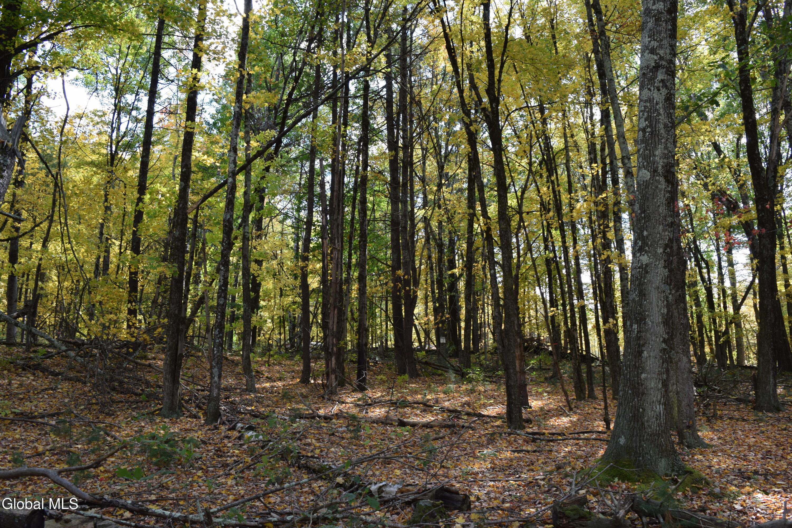 294 Beck Road Eagle Bridge NY 12057