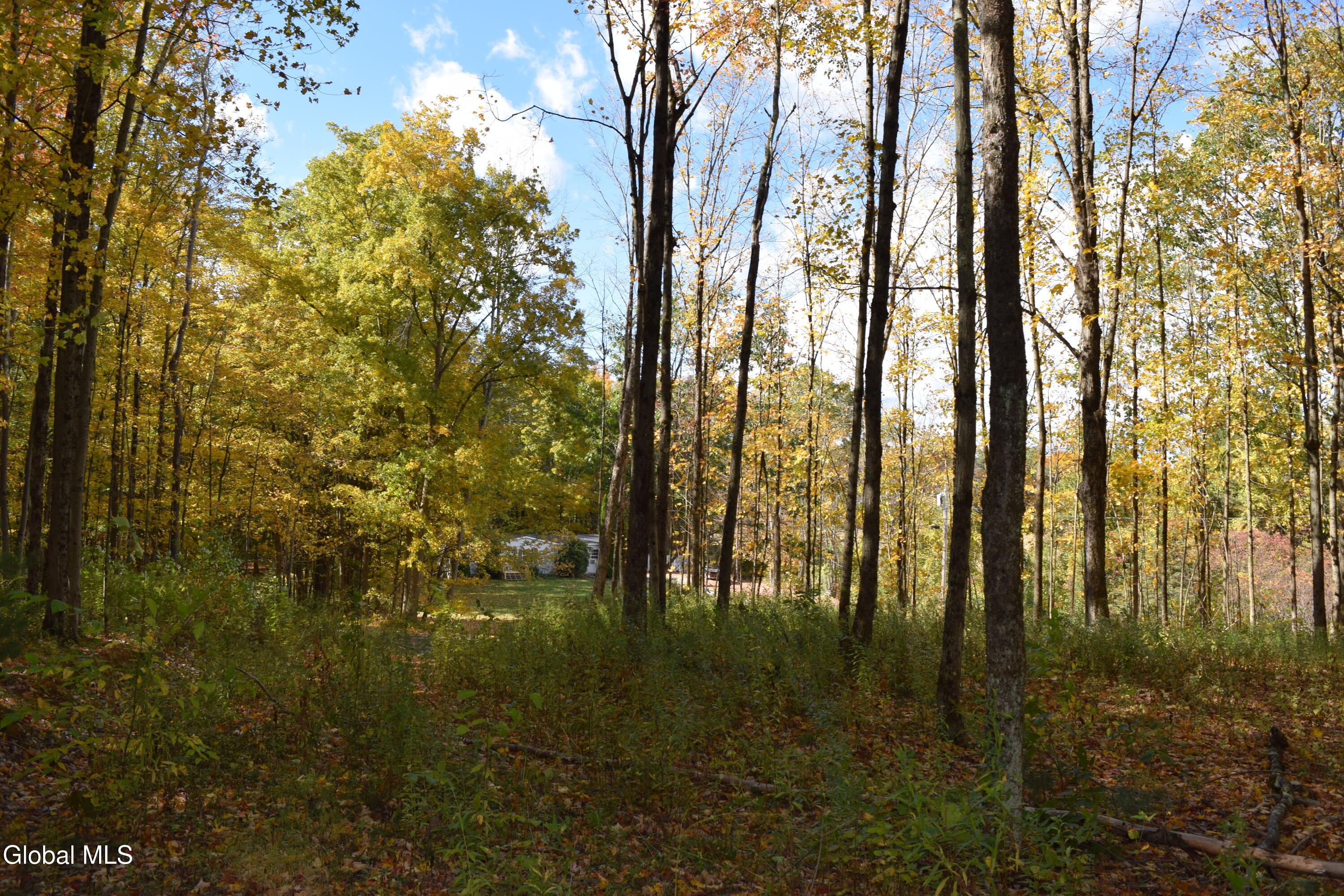 294 Beck Road Eagle Bridge NY 12057
