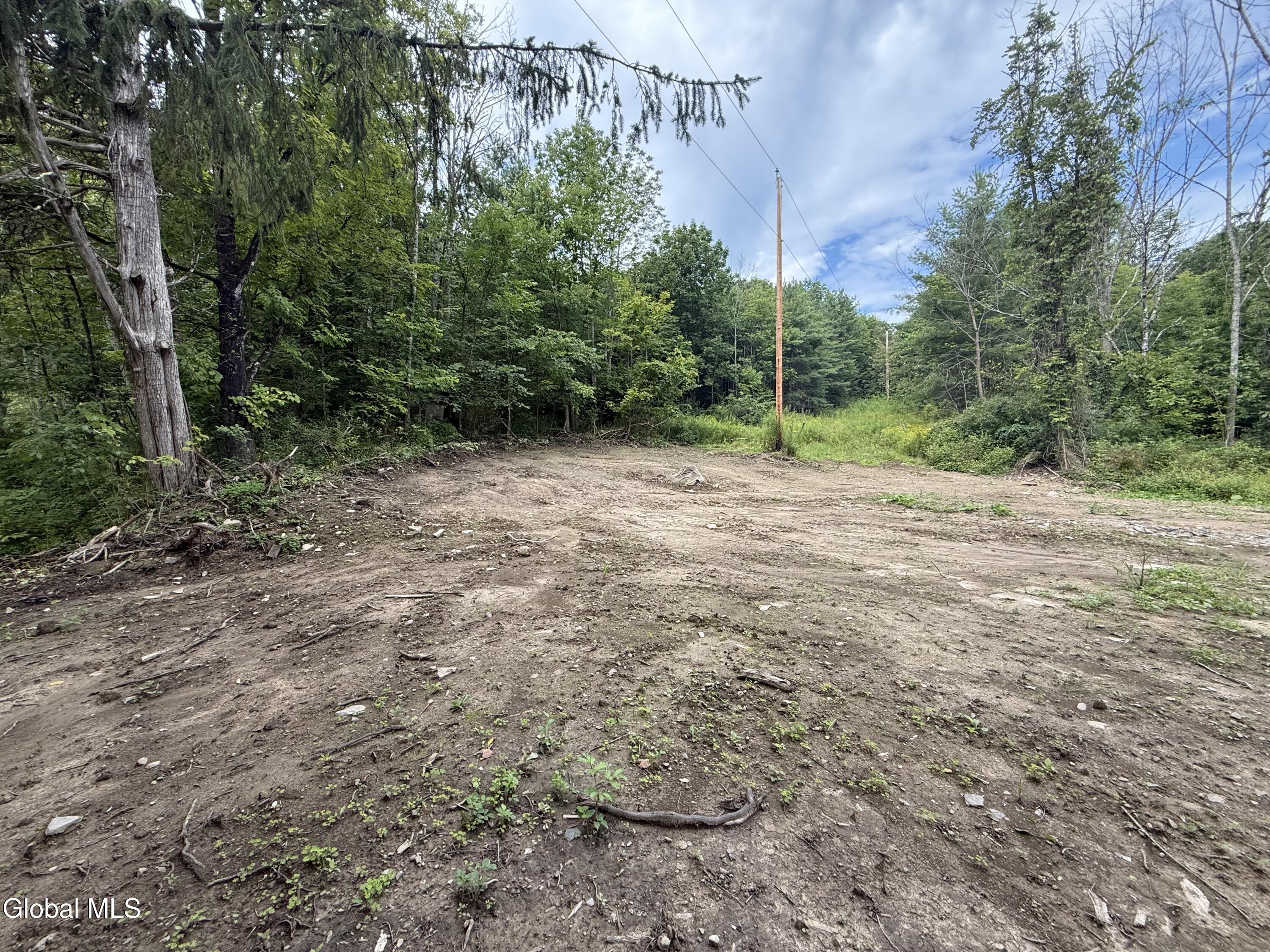 1536 North Road North Blenheim NY 12131