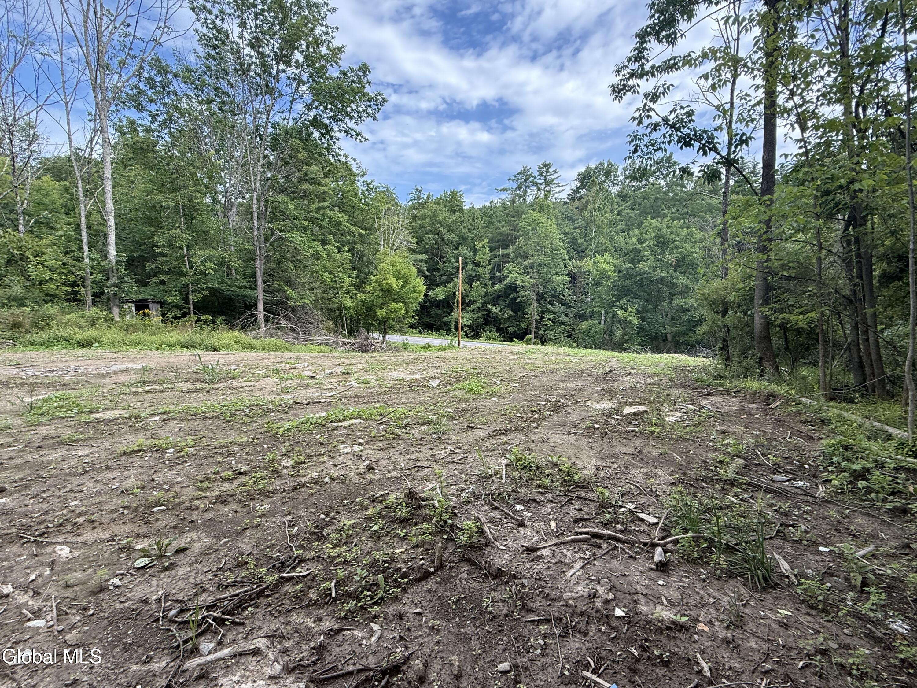 1536 North Road North Blenheim NY 12131