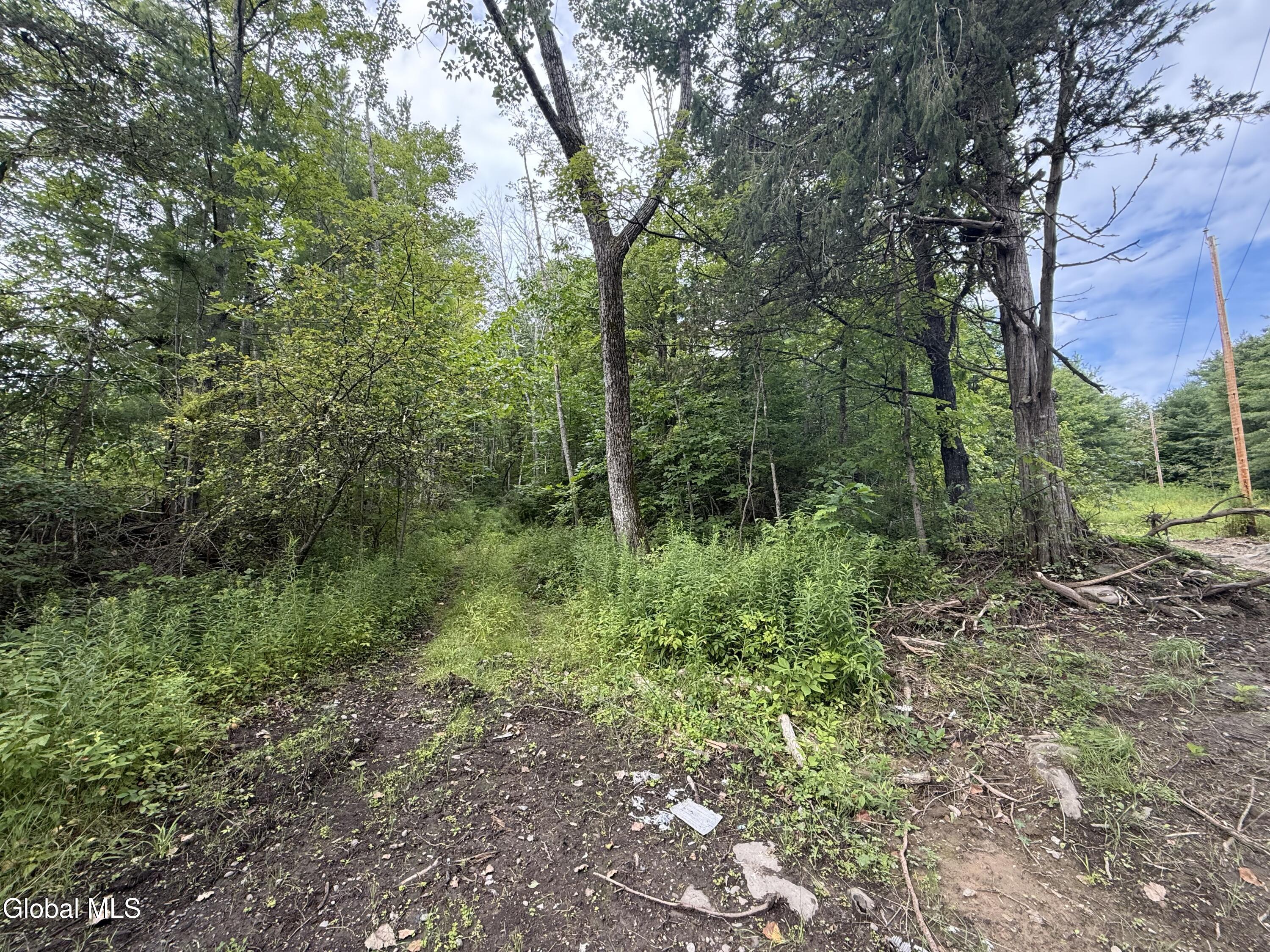 1536 North Road North Blenheim NY 12131