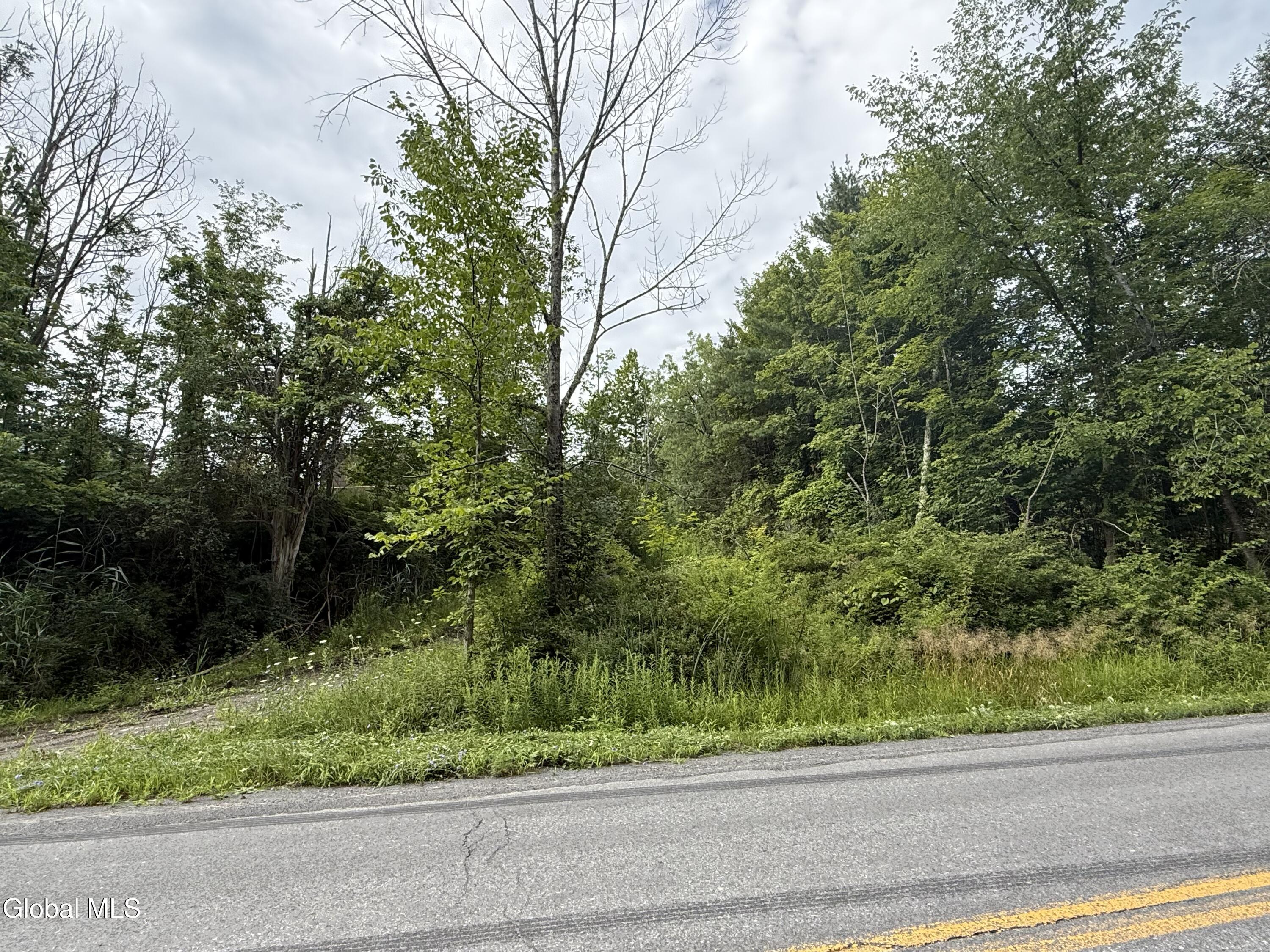 1536 North Road North Blenheim NY 12131