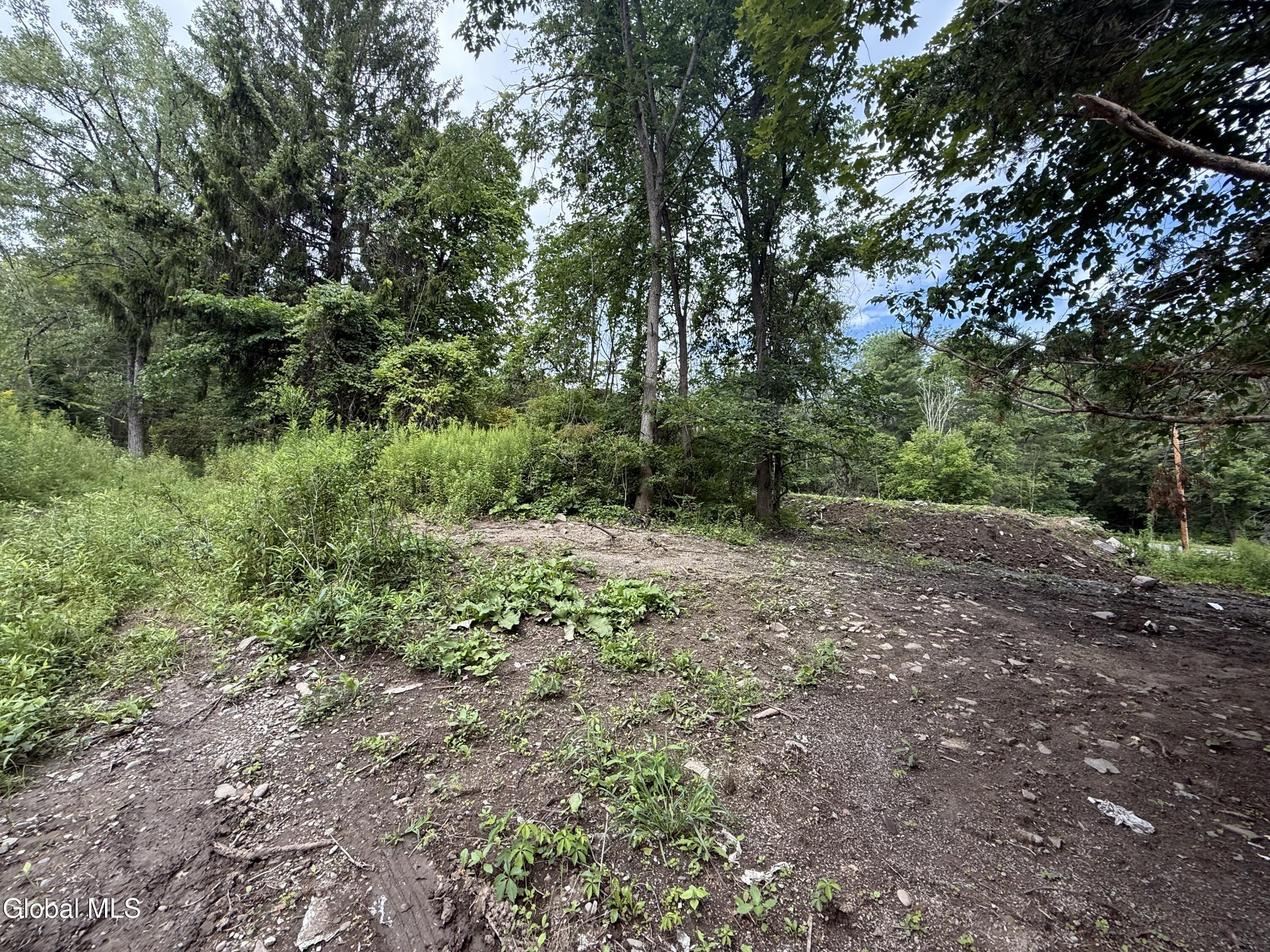 1536 North Road North Blenheim NY 12131