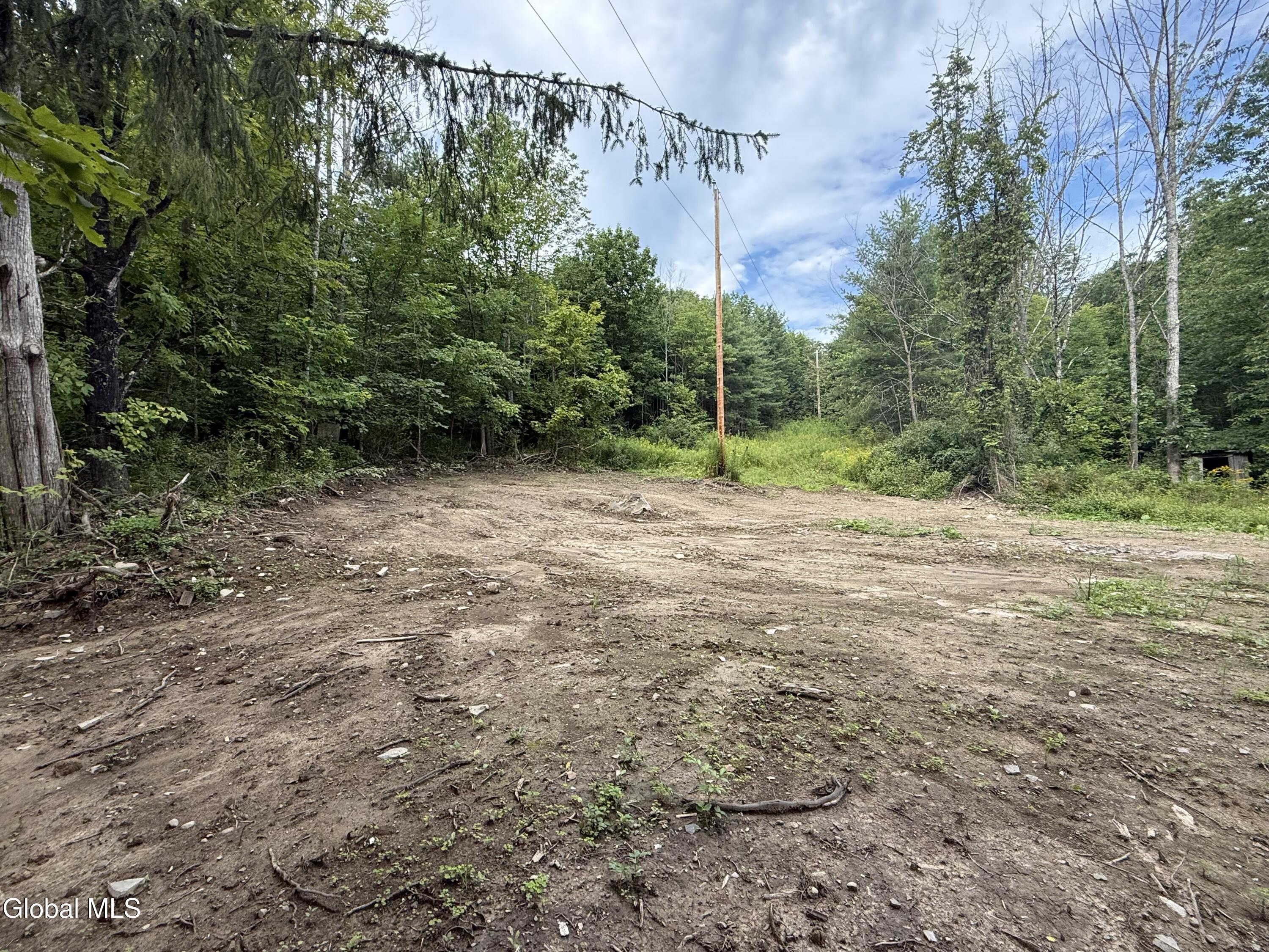 1536 North Road North Blenheim NY 12131