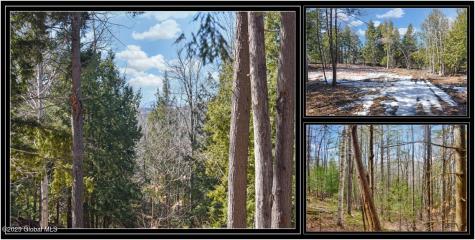 L15 Mountain Meadows Road Adirondack NY 12860