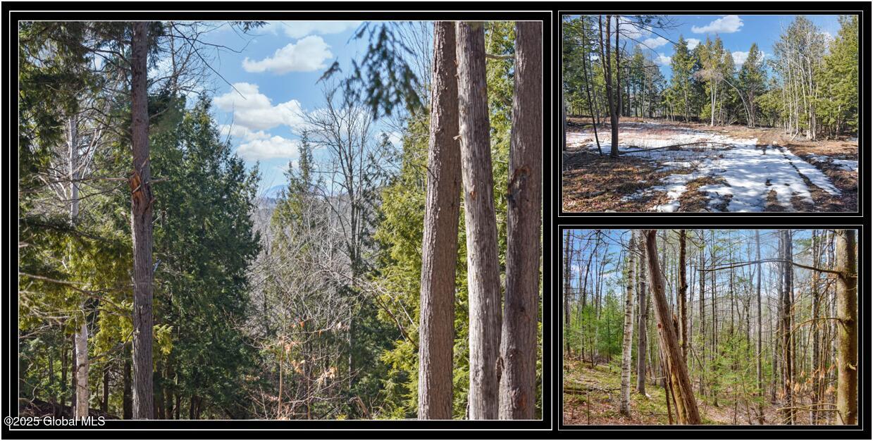 L15 Mountain Meadows Road Adirondack NY 12860