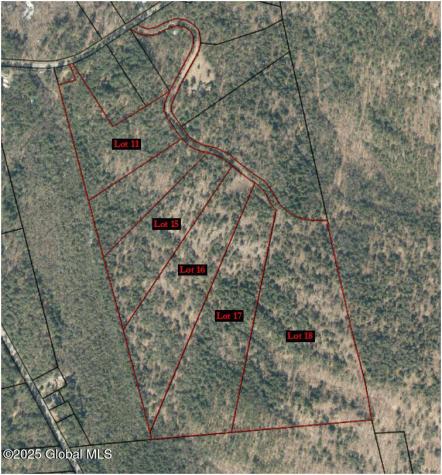 L15 Mountain Meadows Road Adirondack NY 12860