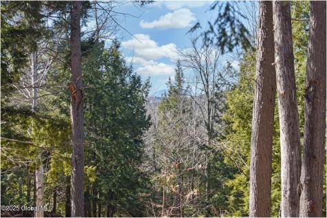 L15 Mountain Meadows Road Adirondack NY 12860
