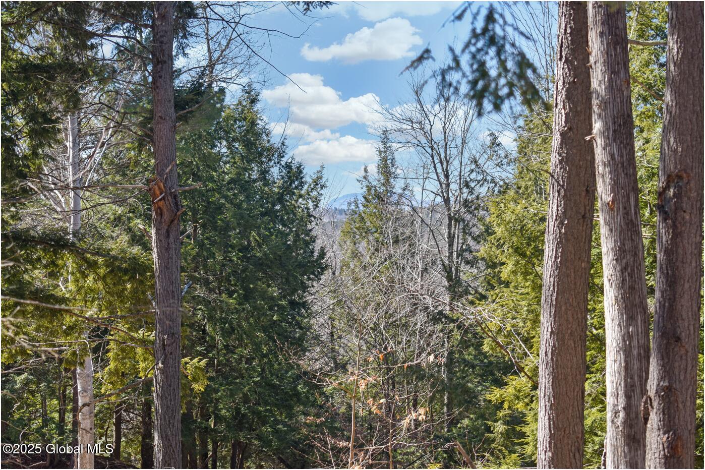 L15 Mountain Meadows Road Adirondack NY 12860