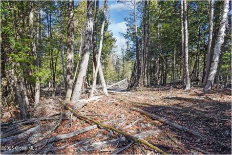 L15 Mountain Meadows Road Adirondack NY 12860