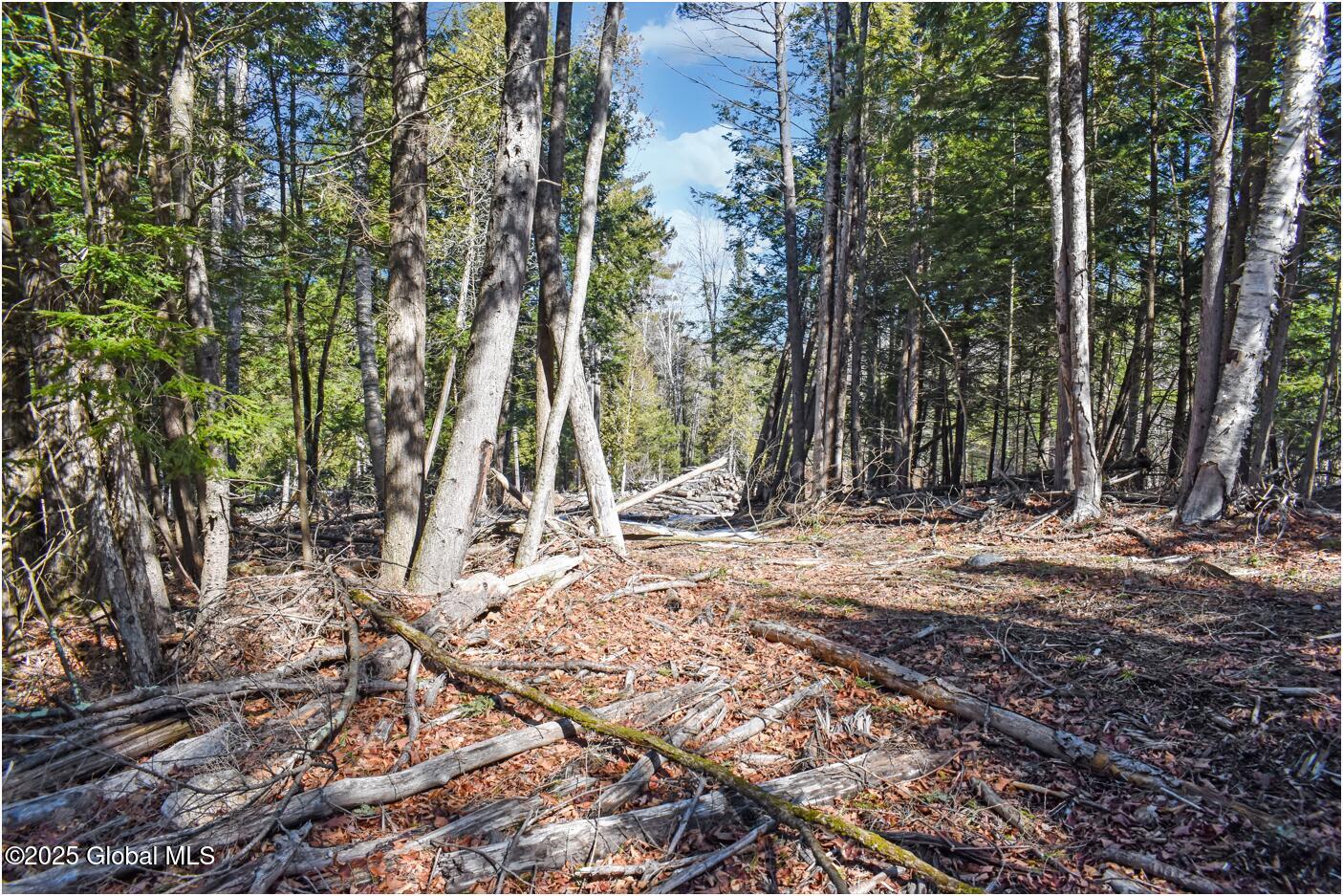 L15 Mountain Meadows Road Adirondack NY 12860