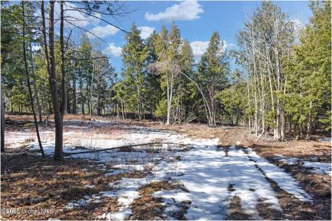 L15 Mountain Meadows Road Adirondack NY 12860
