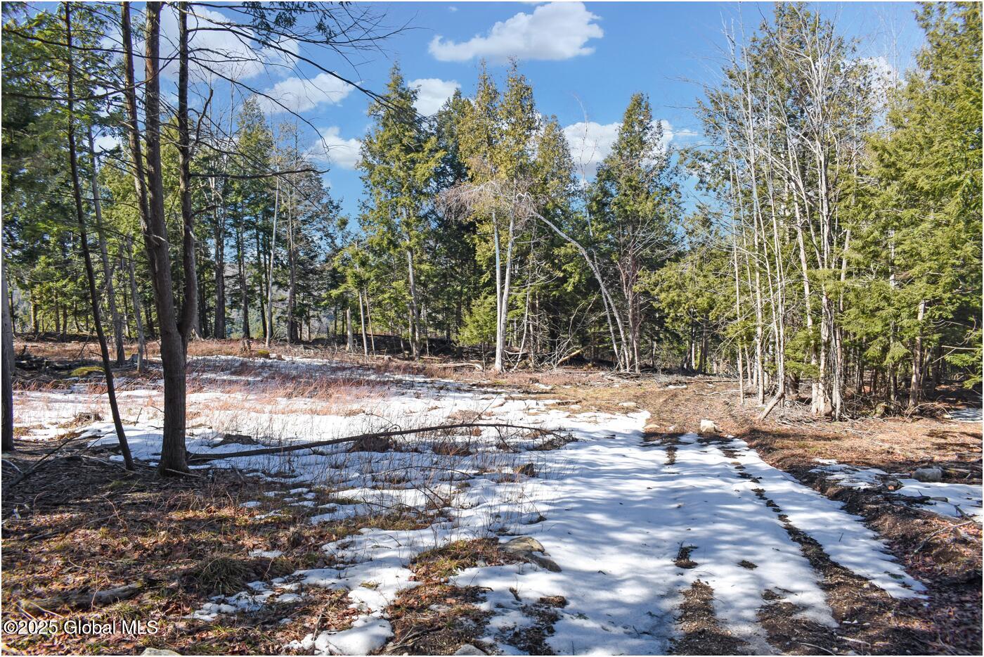 L15 Mountain Meadows Road Adirondack NY 12860
