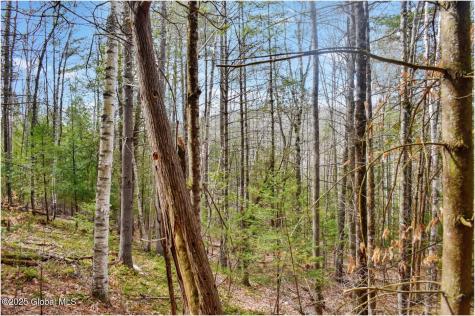 L15 Mountain Meadows Road Adirondack NY 12860