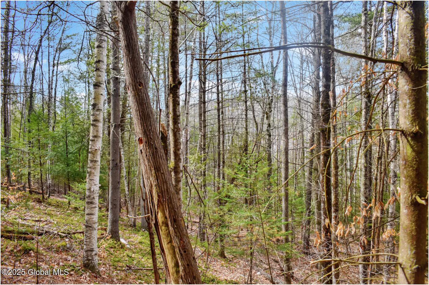 L15 Mountain Meadows Road Adirondack NY 12860