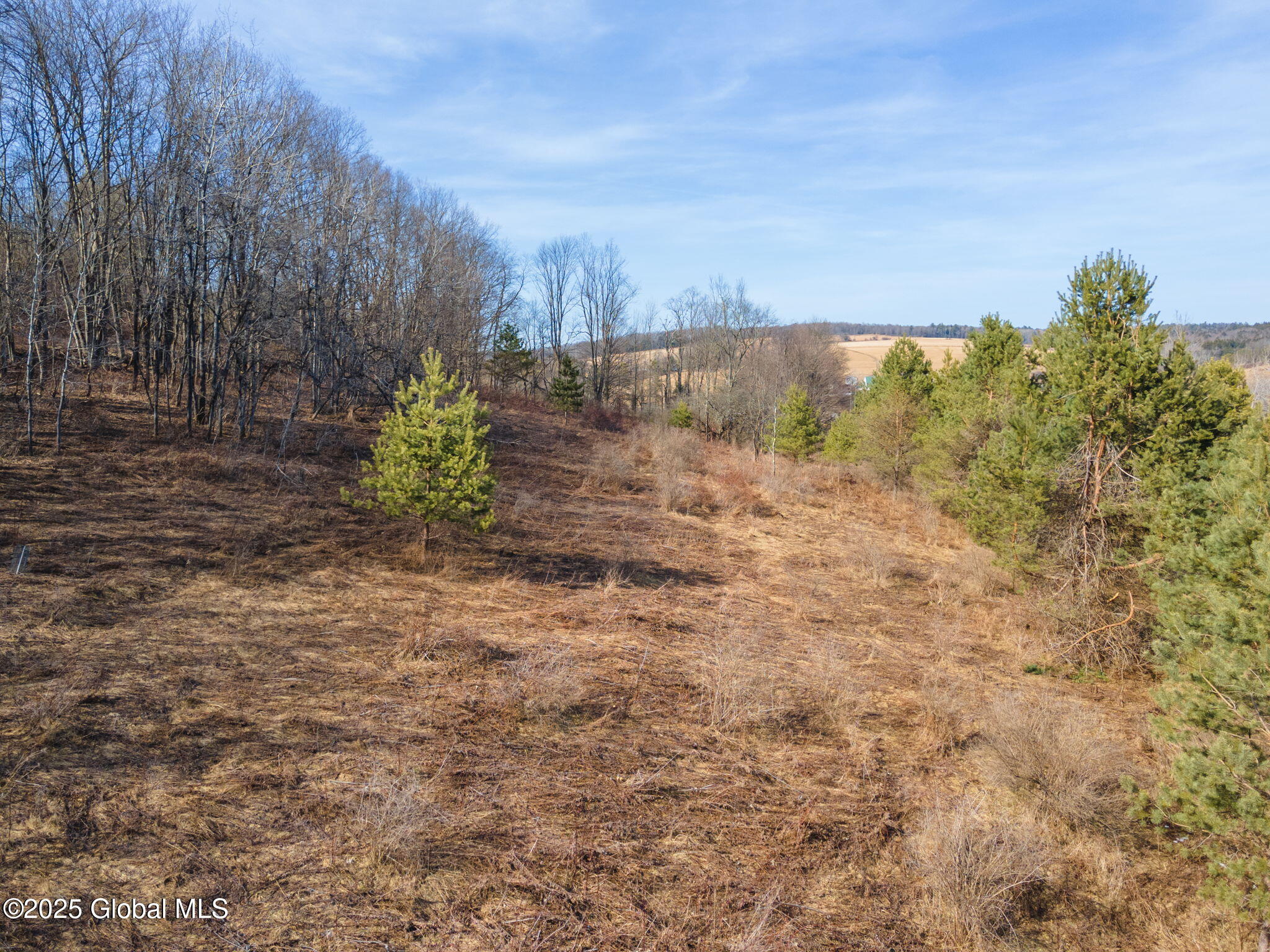 L20.2 Indian Brook Road Greene NY 13778