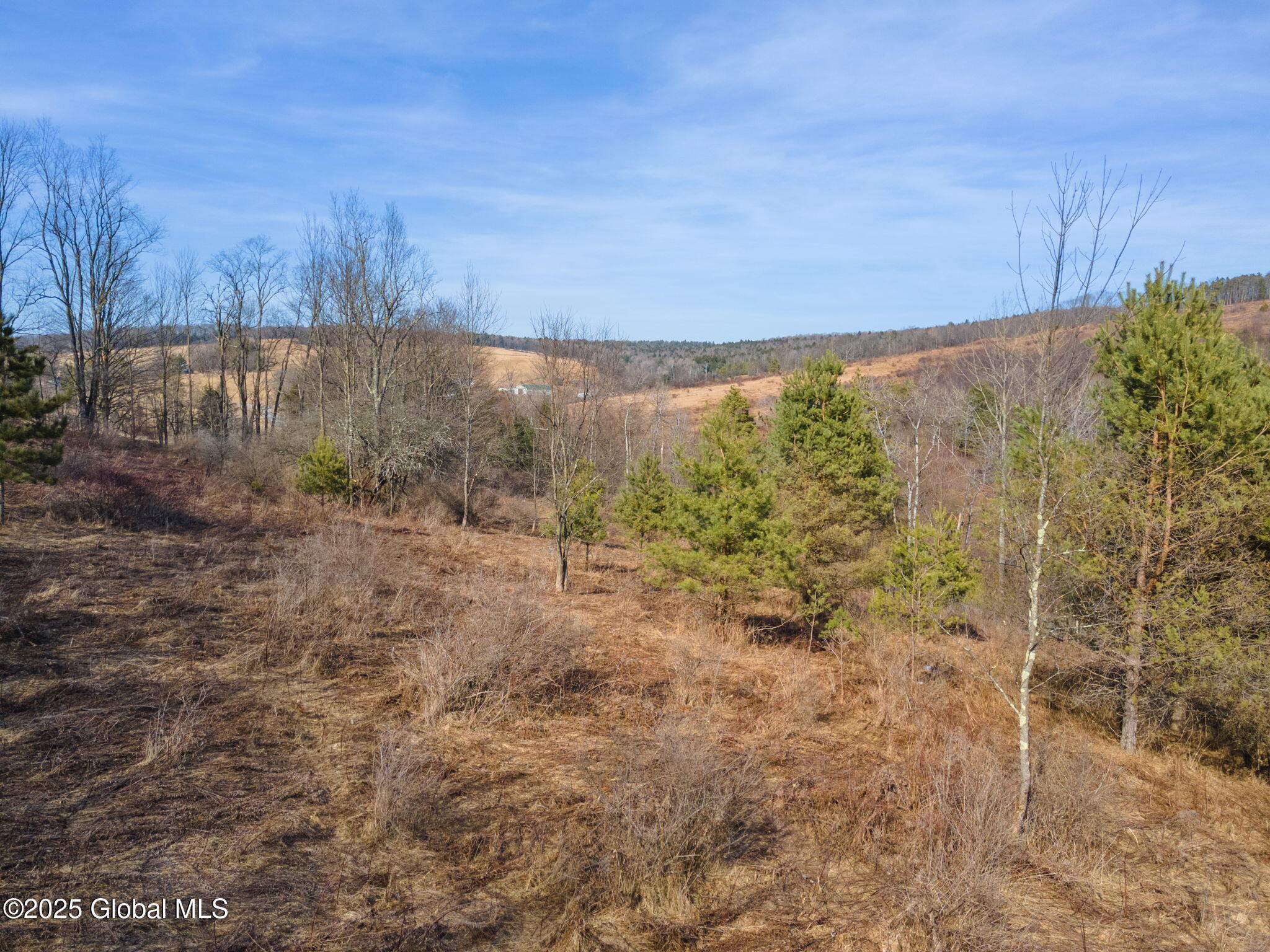 L20.2 Indian Brook Road Greene NY 13778