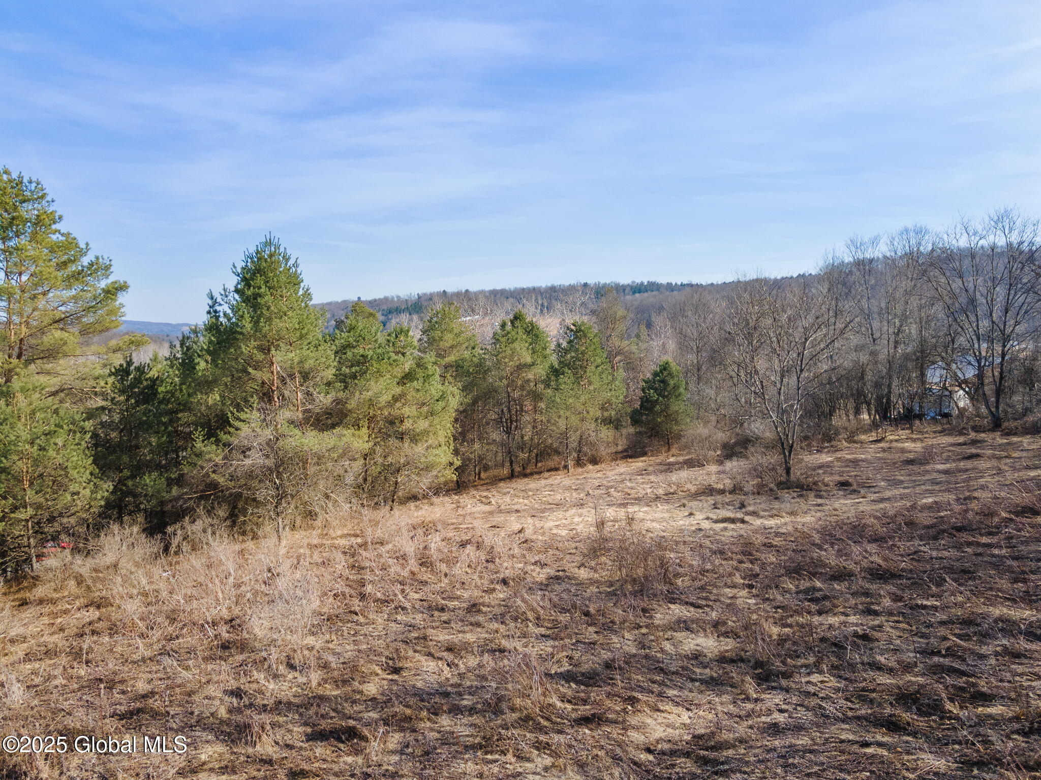 L20.2 Indian Brook Road Greene NY 13778