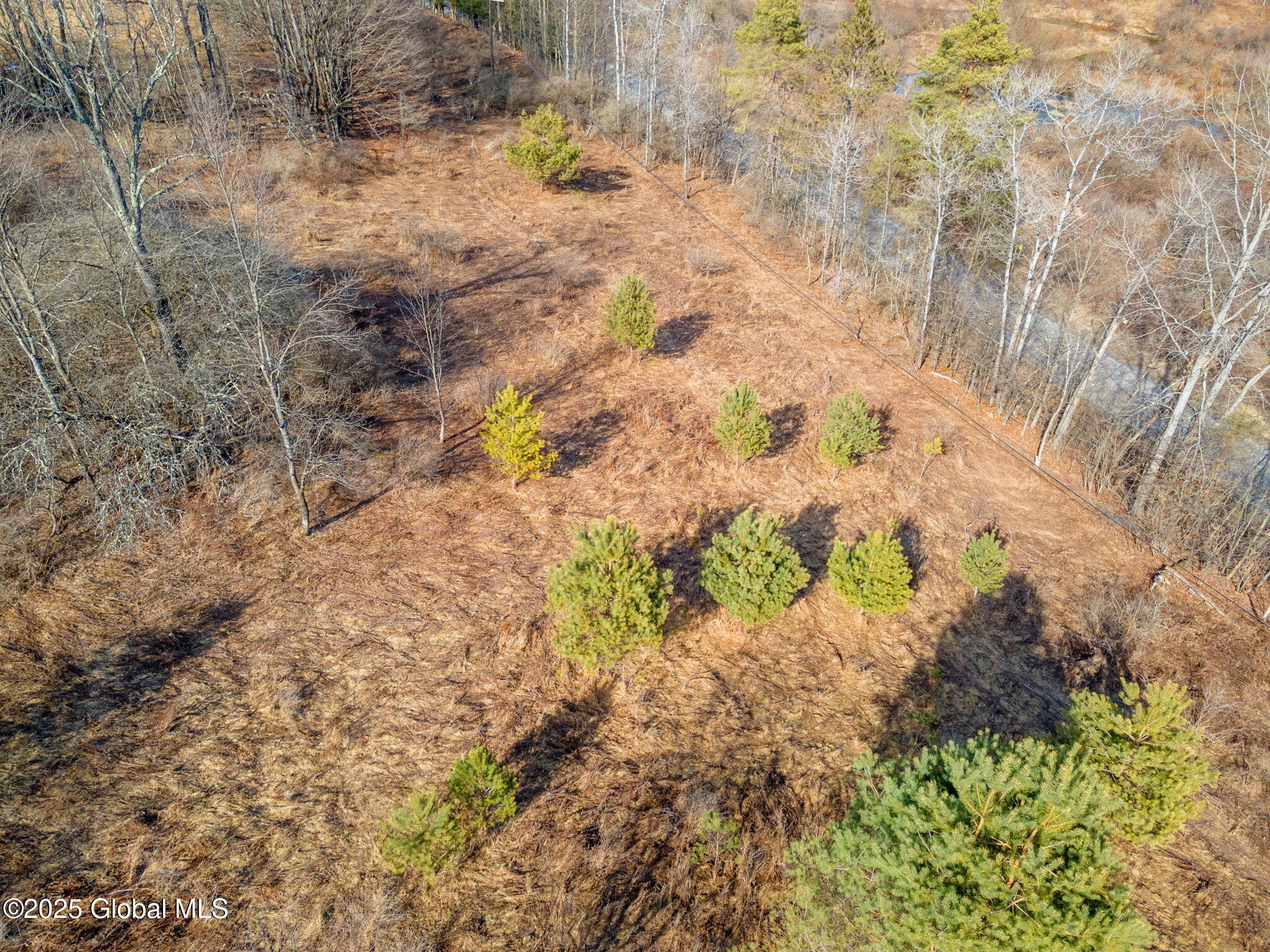 L20.2 Indian Brook Road Greene NY 13778
