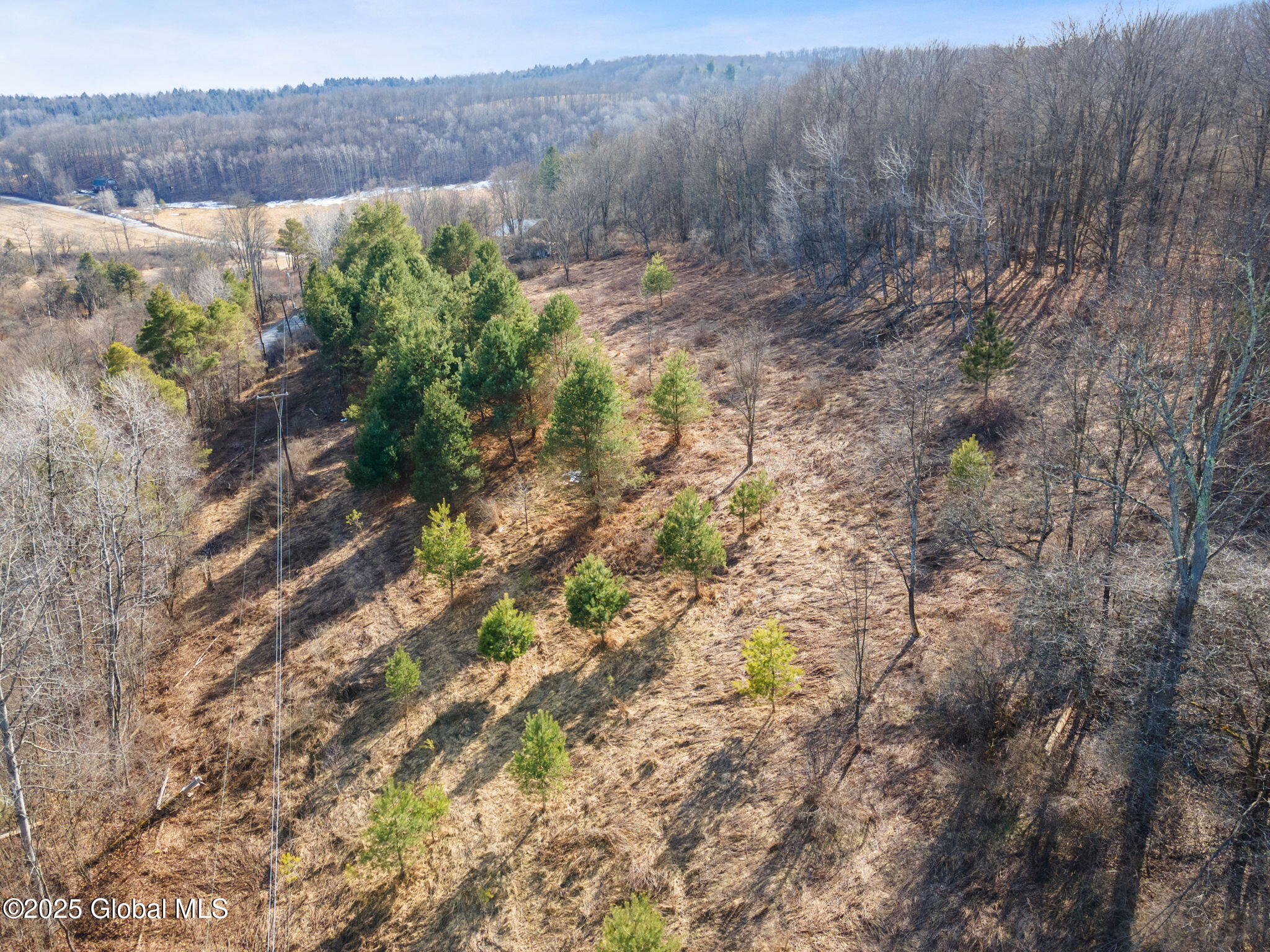L20.2 Indian Brook Road Greene NY 13778