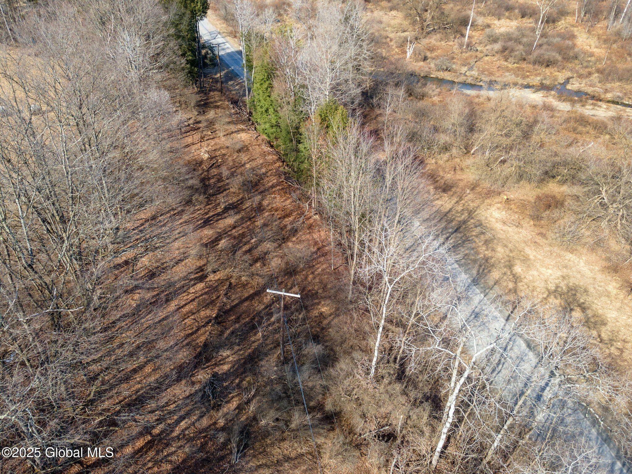 L20.2 Indian Brook Road Greene NY 13778