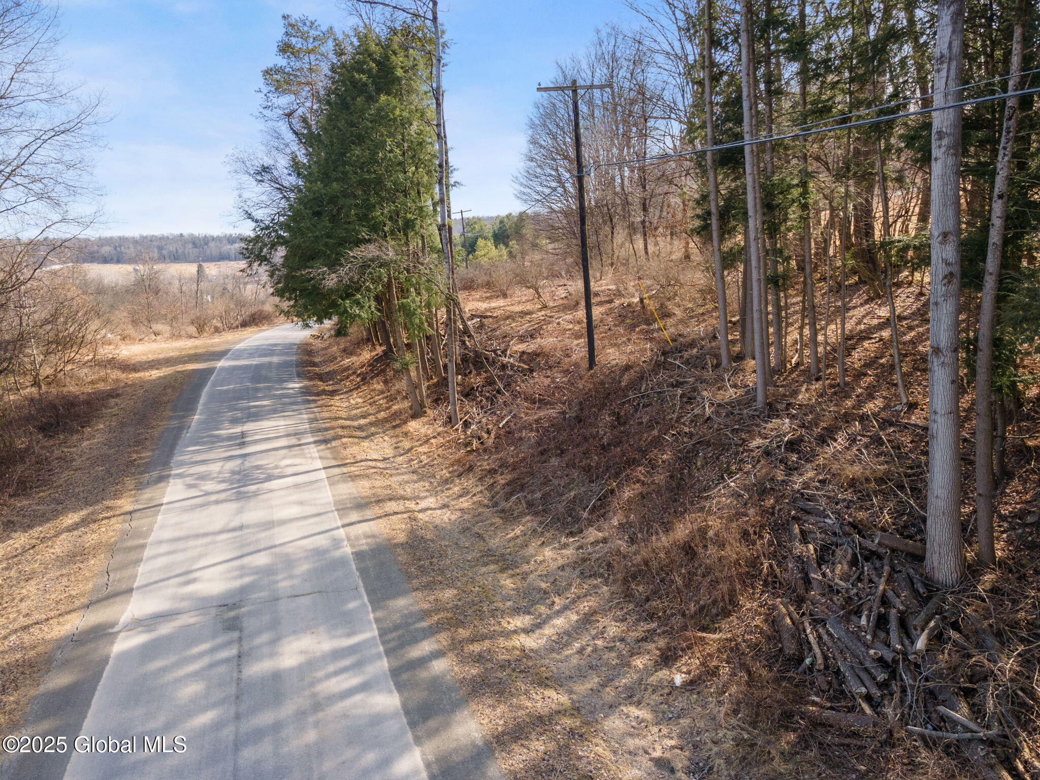 L20.2 Indian Brook Road Greene NY 13778