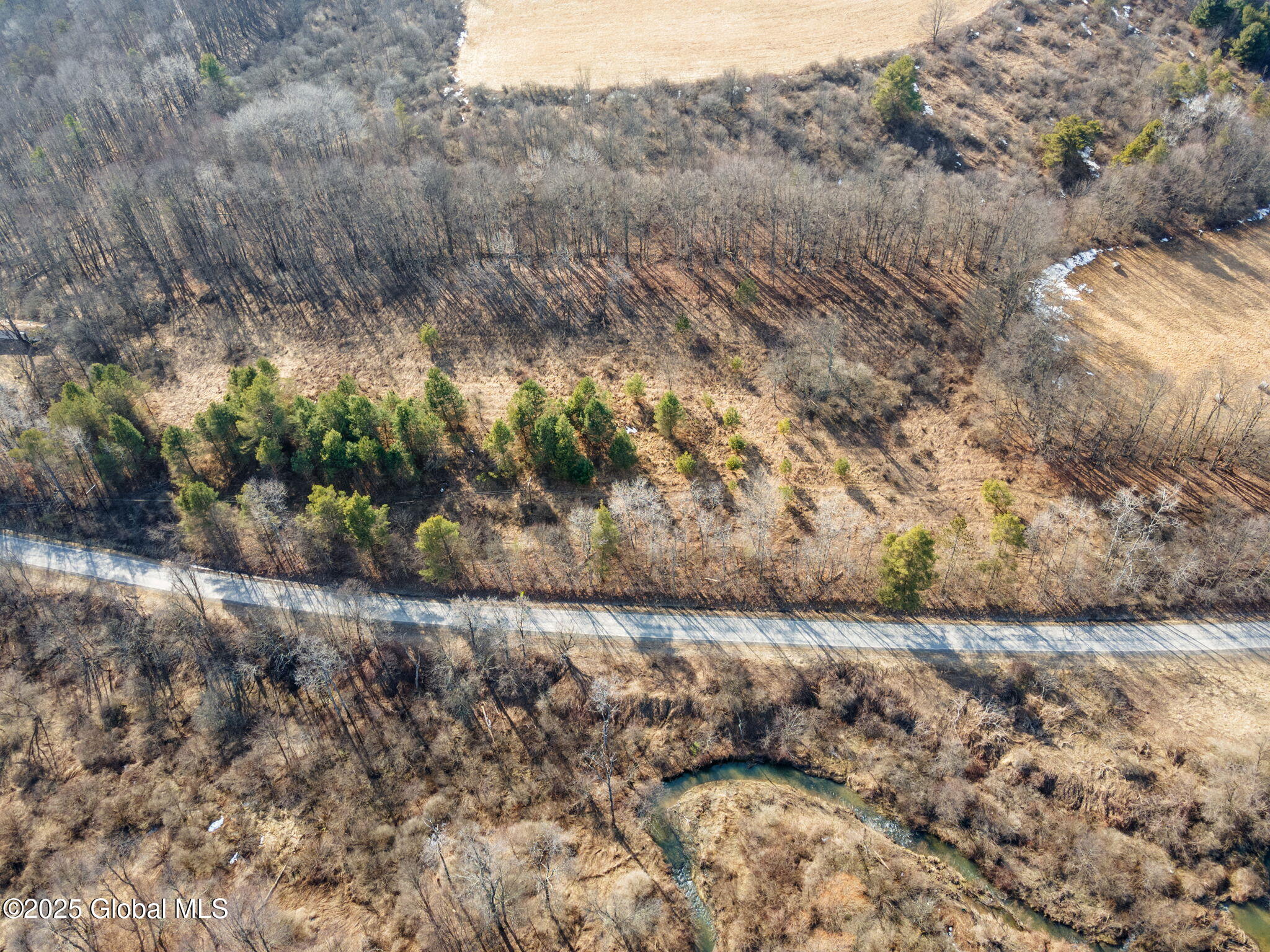 L20.2 Indian Brook Road Greene NY 13778