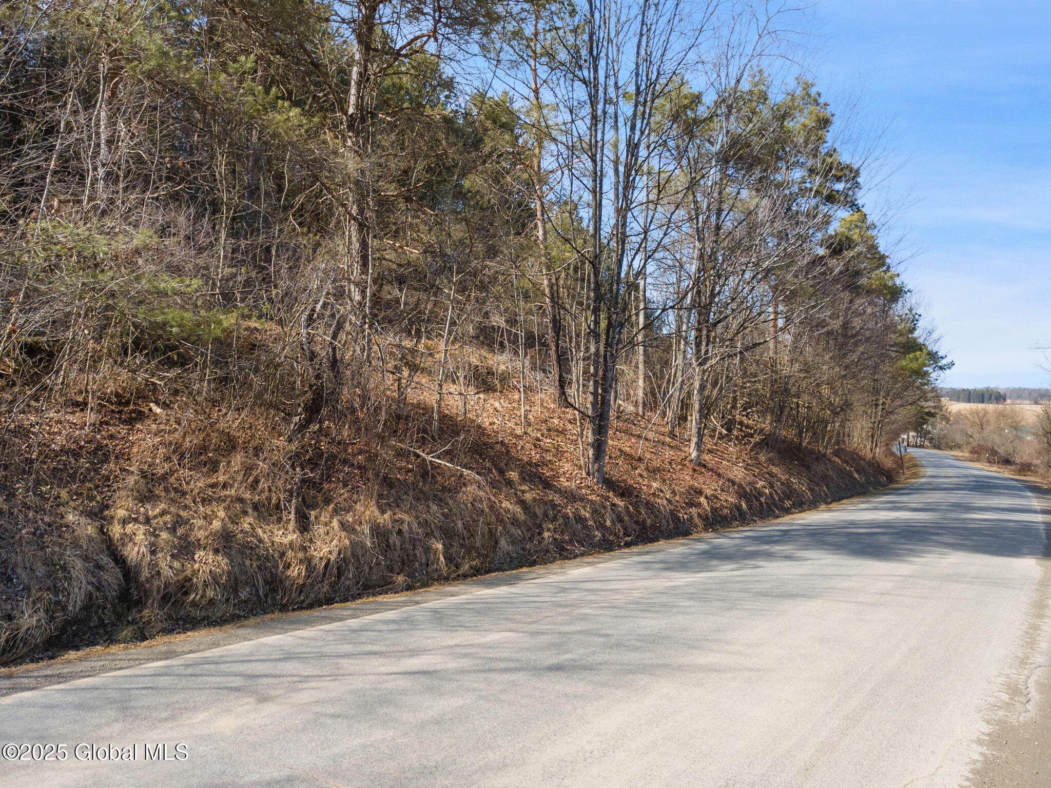 L20.2 Indian Brook Road Greene NY 13778