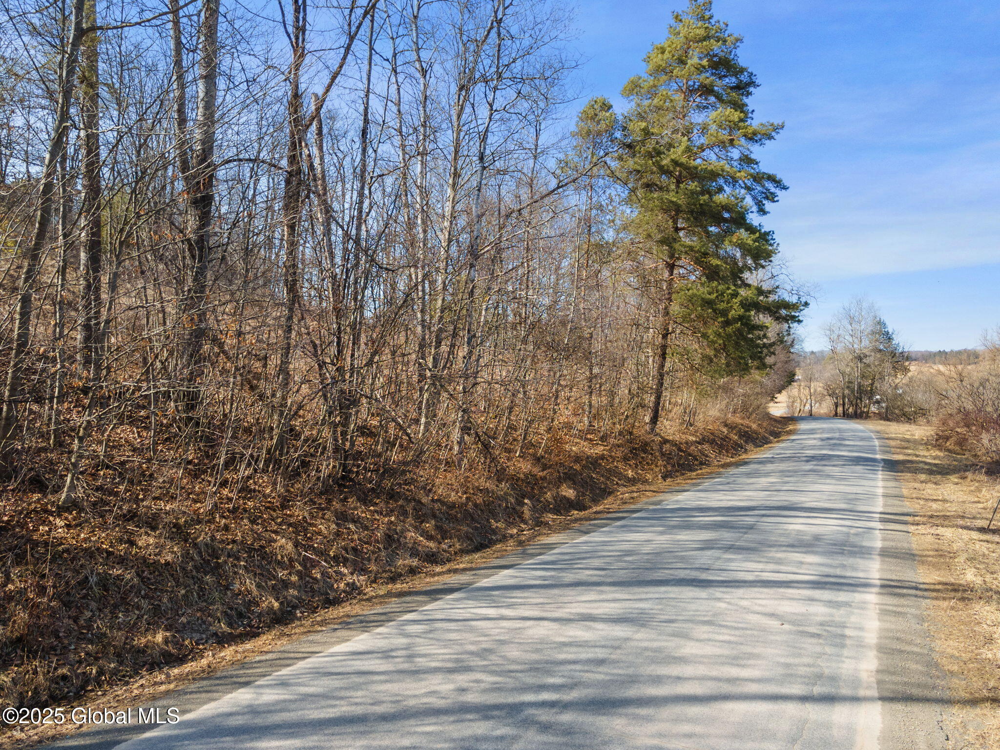 L20.2 Indian Brook Road Greene NY 13778