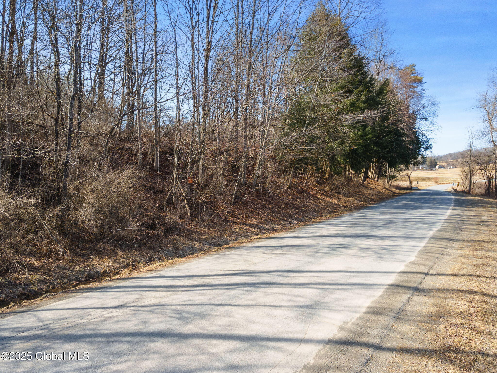 L20.2 Indian Brook Road Greene NY 13778
