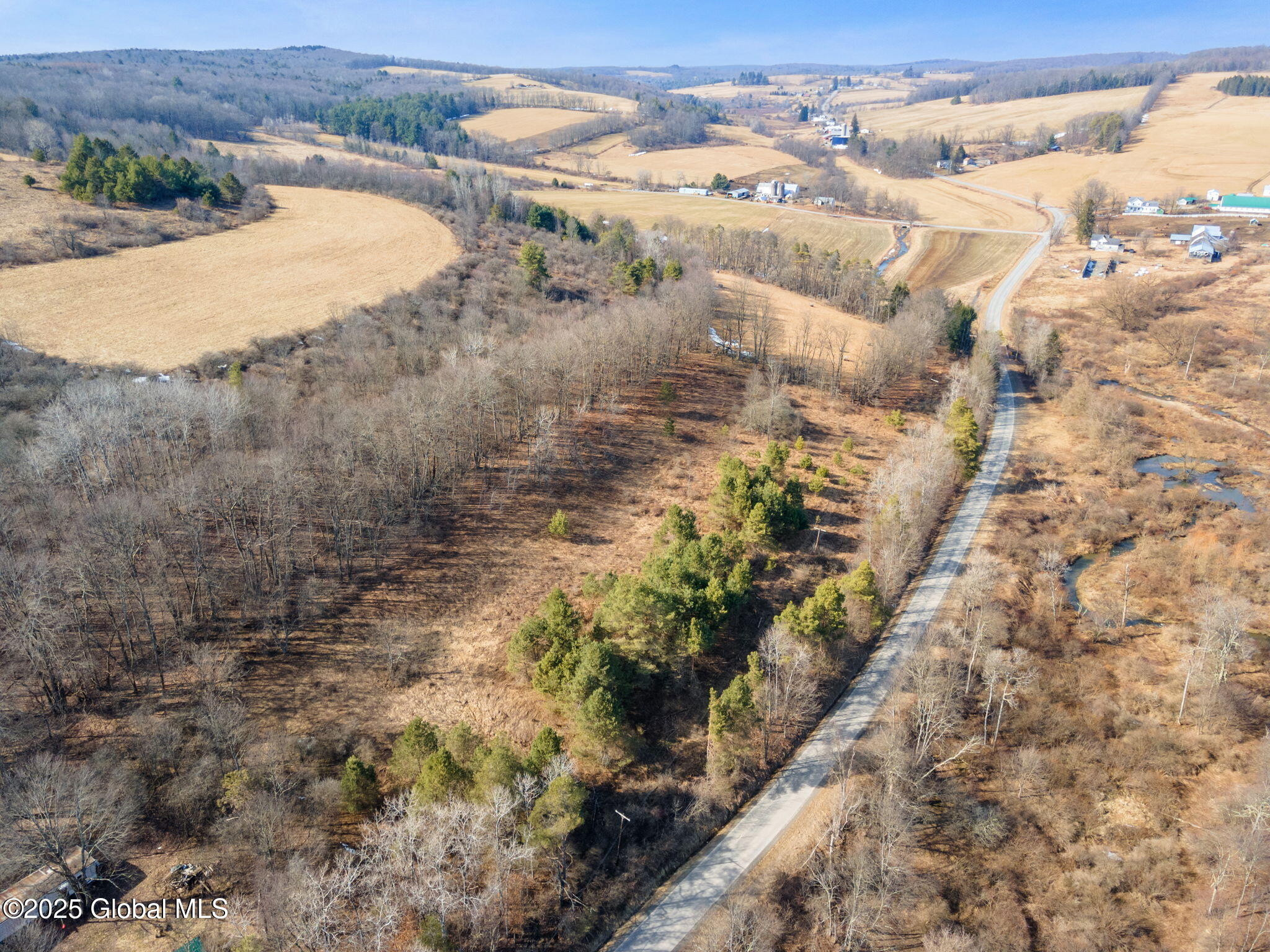 L20.2 Indian Brook Road Greene NY 13778