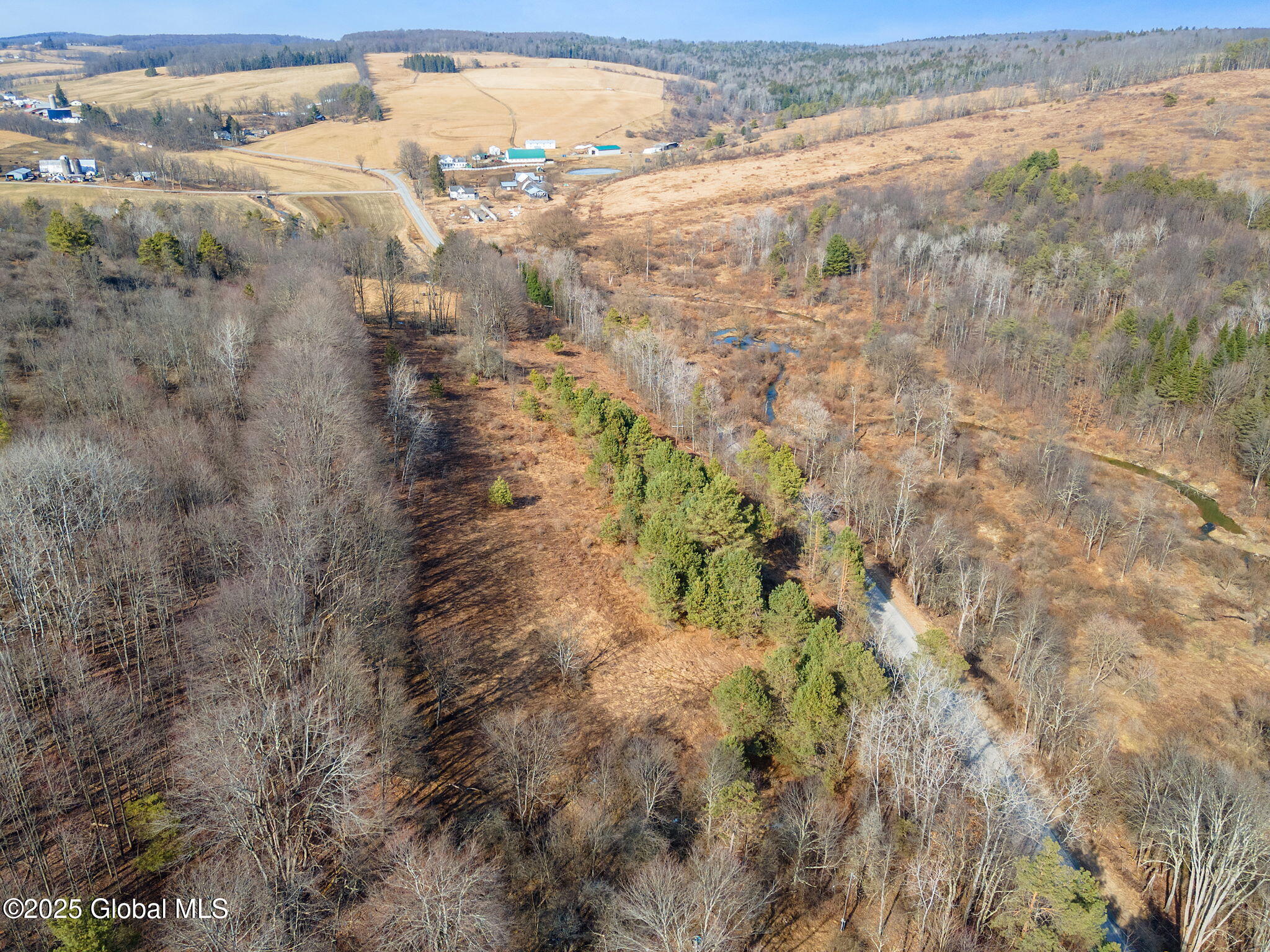 L20.2 Indian Brook Road Greene NY 13778