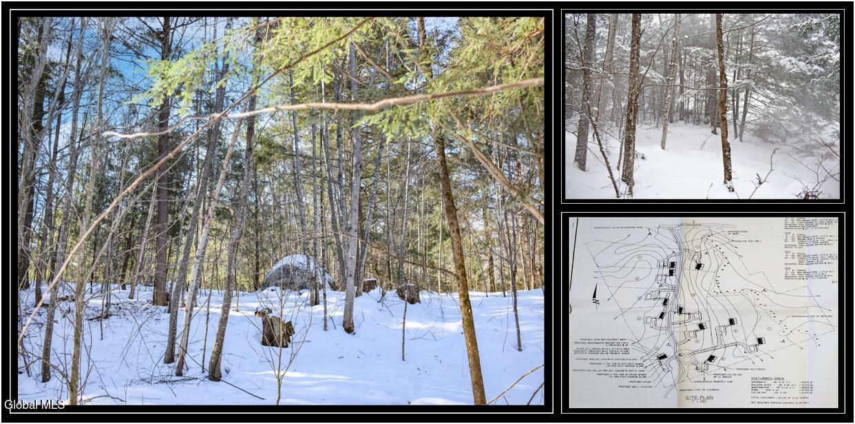 37 Carriage Knolls Road Chestertown NY 12817