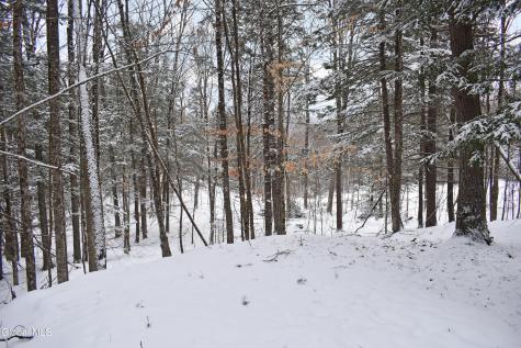 37 Carriage Knolls Road Chestertown NY 12817