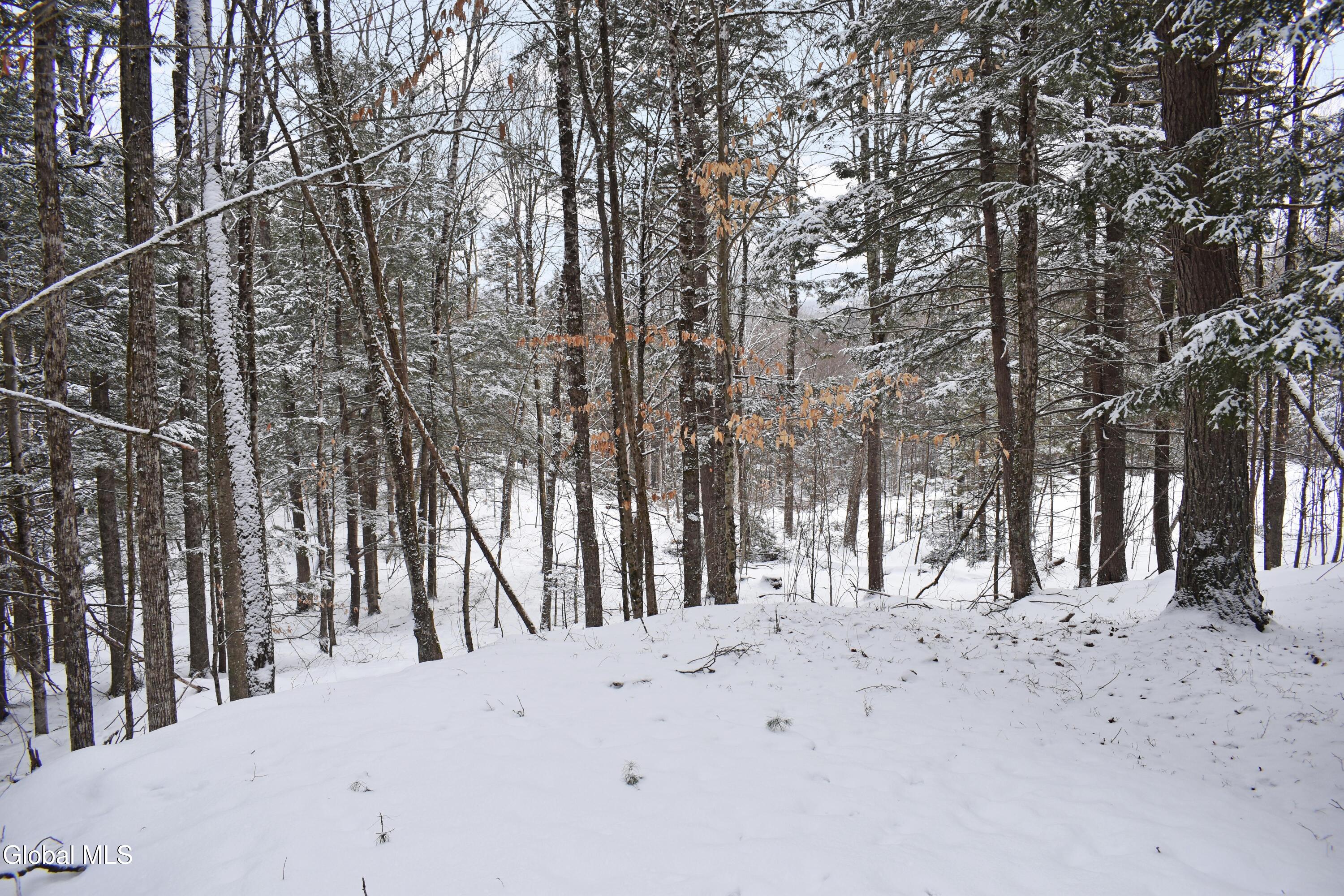 37 Carriage Knolls Road Chestertown NY 12817