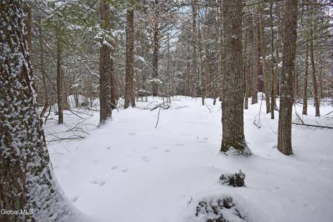 37 Carriage Knolls Road Chestertown NY 12817
