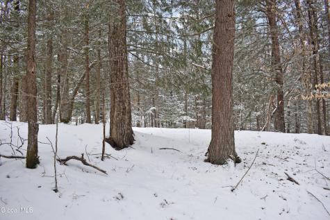 37 Carriage Knolls Road Chestertown NY 12817
