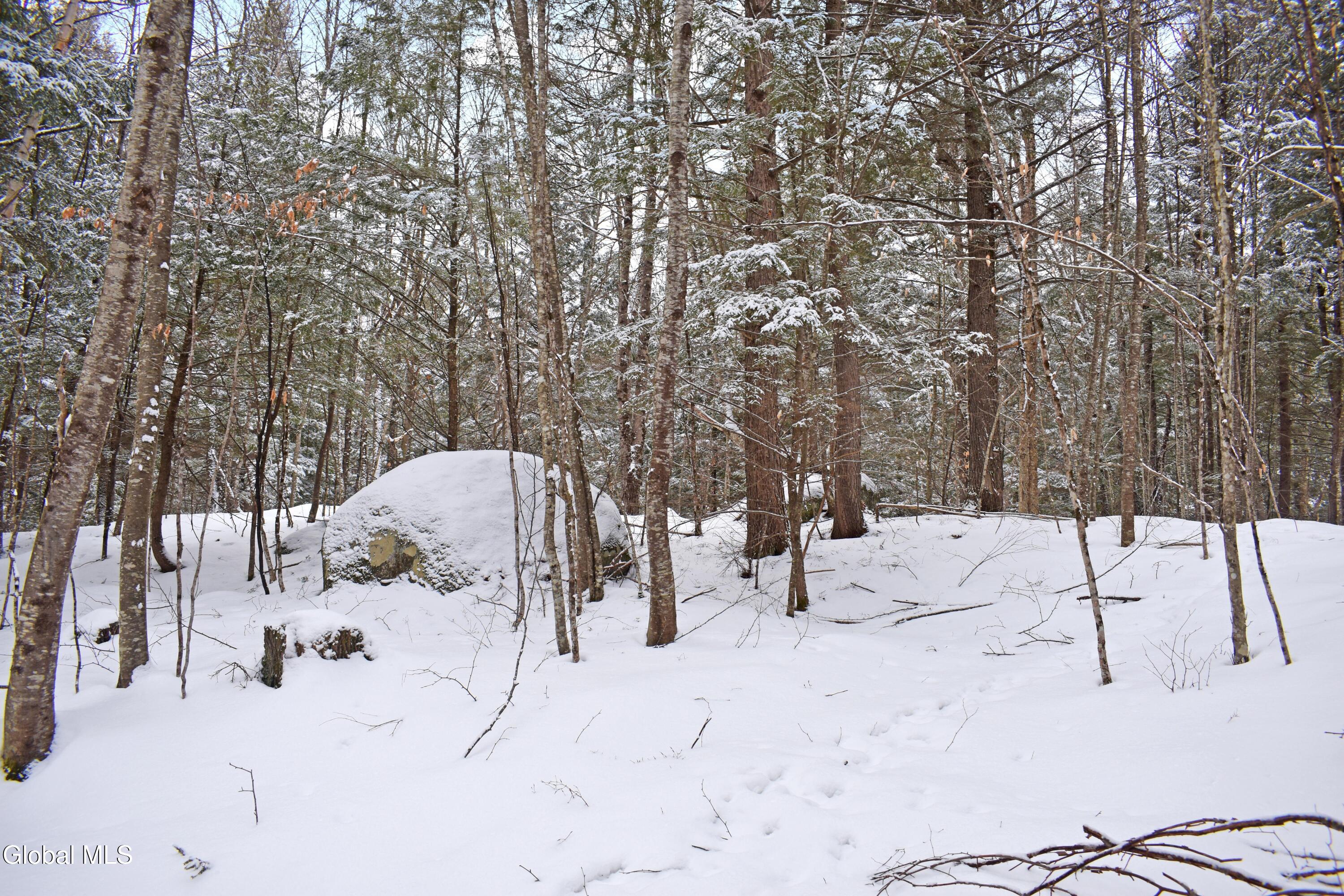 37 Carriage Knolls Road Chestertown NY 12817