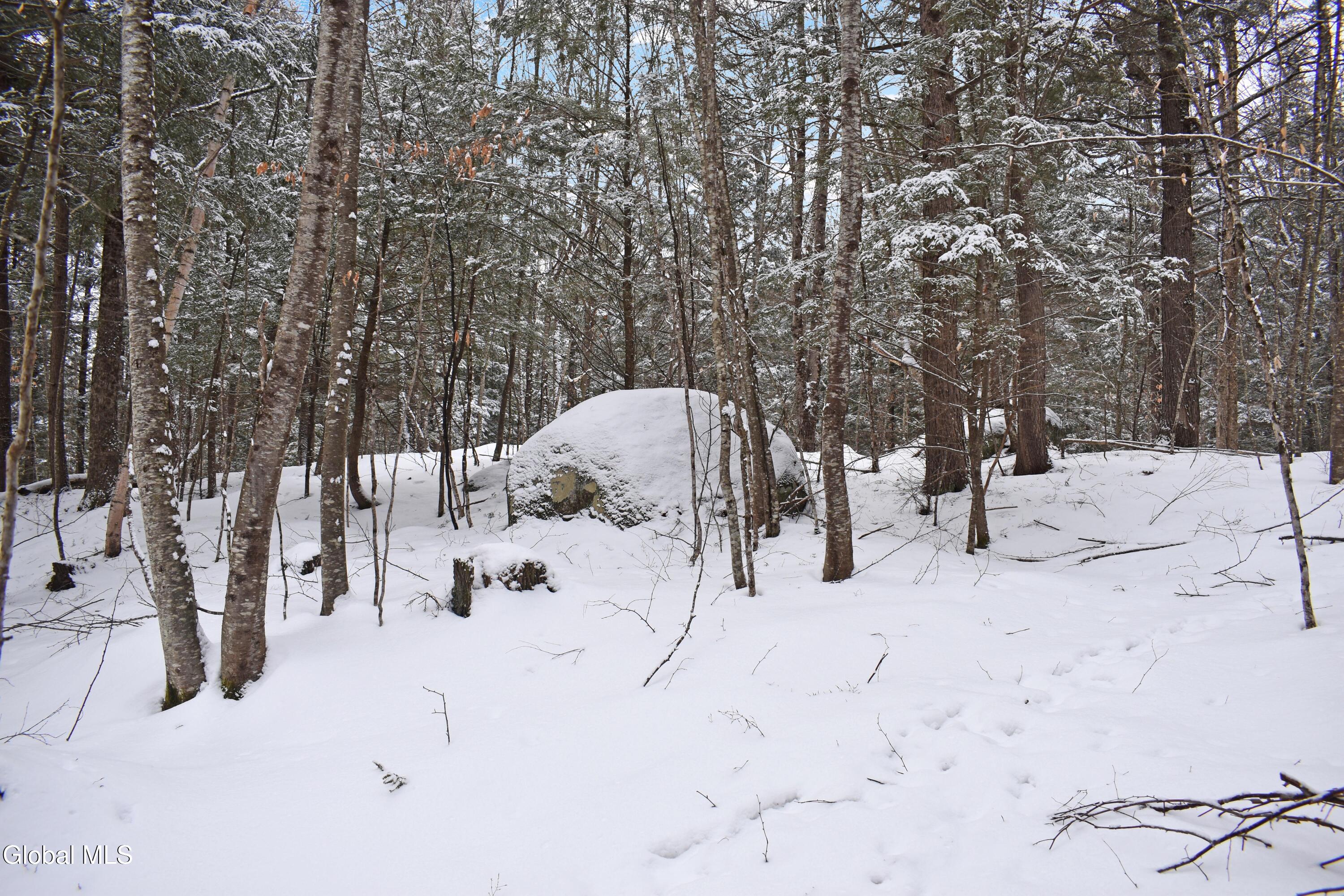 37 Carriage Knolls Road Chestertown NY 12817