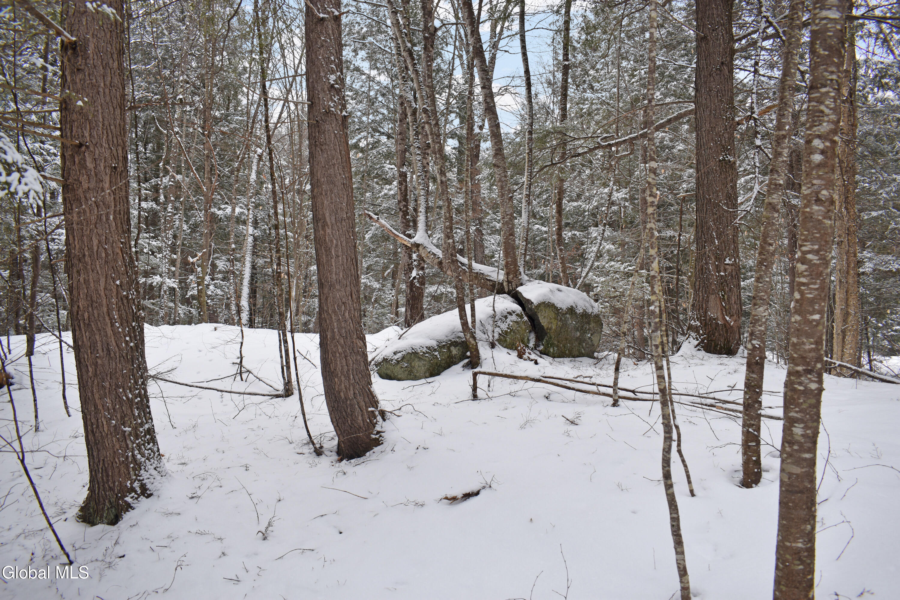 37 Carriage Knolls Road Chestertown NY 12817