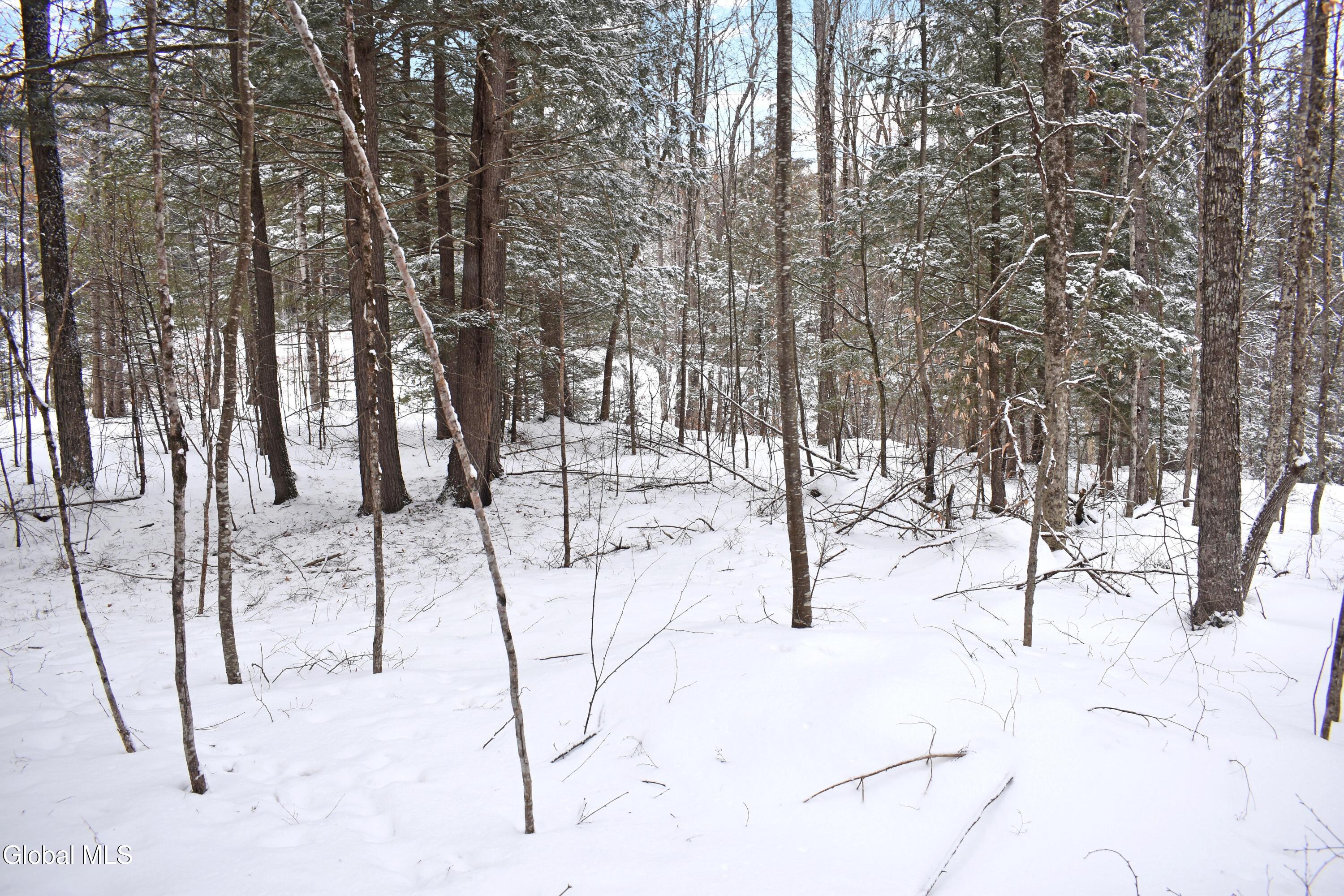 37 Carriage Knolls Road Chestertown NY 12817