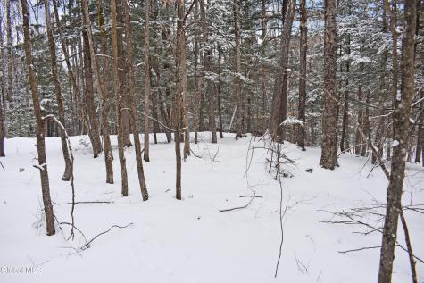 37 Carriage Knolls Road Chestertown NY 12817