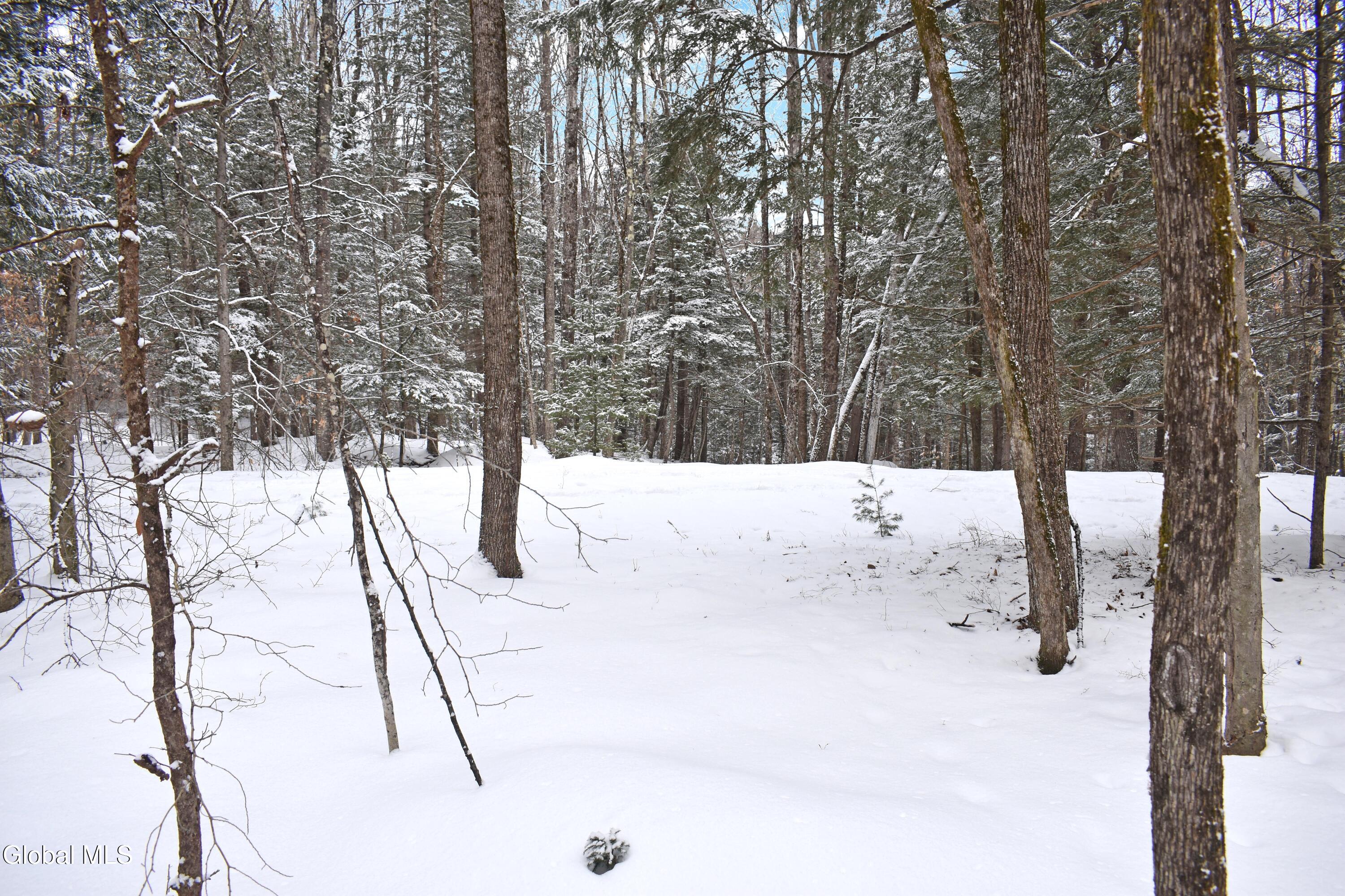 37 Carriage Knolls Road Chestertown NY 12817