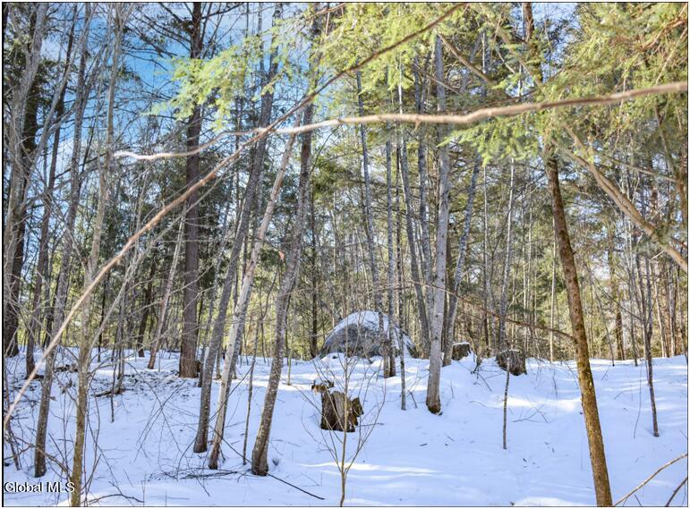 37 Carriage Knolls Road Chestertown NY 12817
