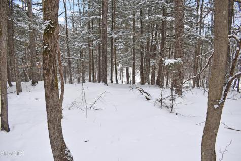 37 Carriage Knolls Road Chestertown NY 12817